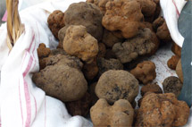 Marché aux truffes d'Aups