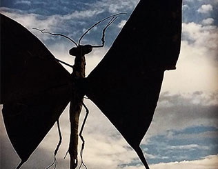 Sculpture d'insecte à Tourtour