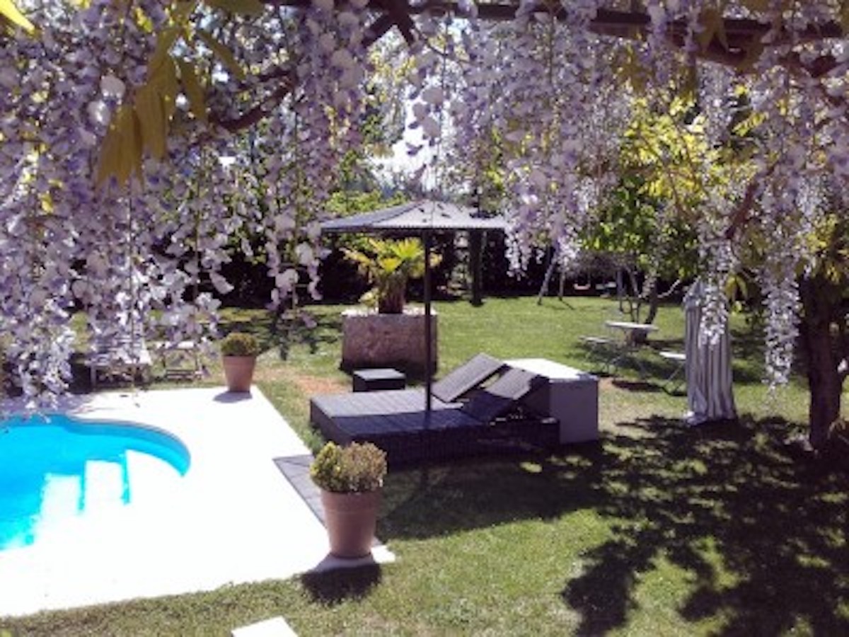 Photo Villa Le Sud - Sultana Muriel