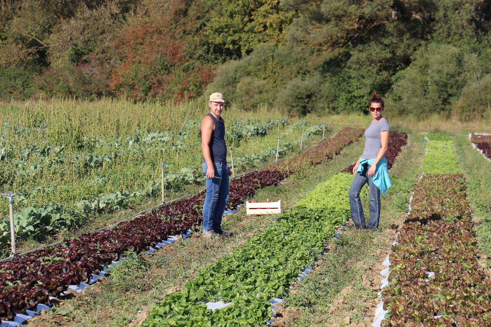 Photo Le Jardin de Castéou Vielh