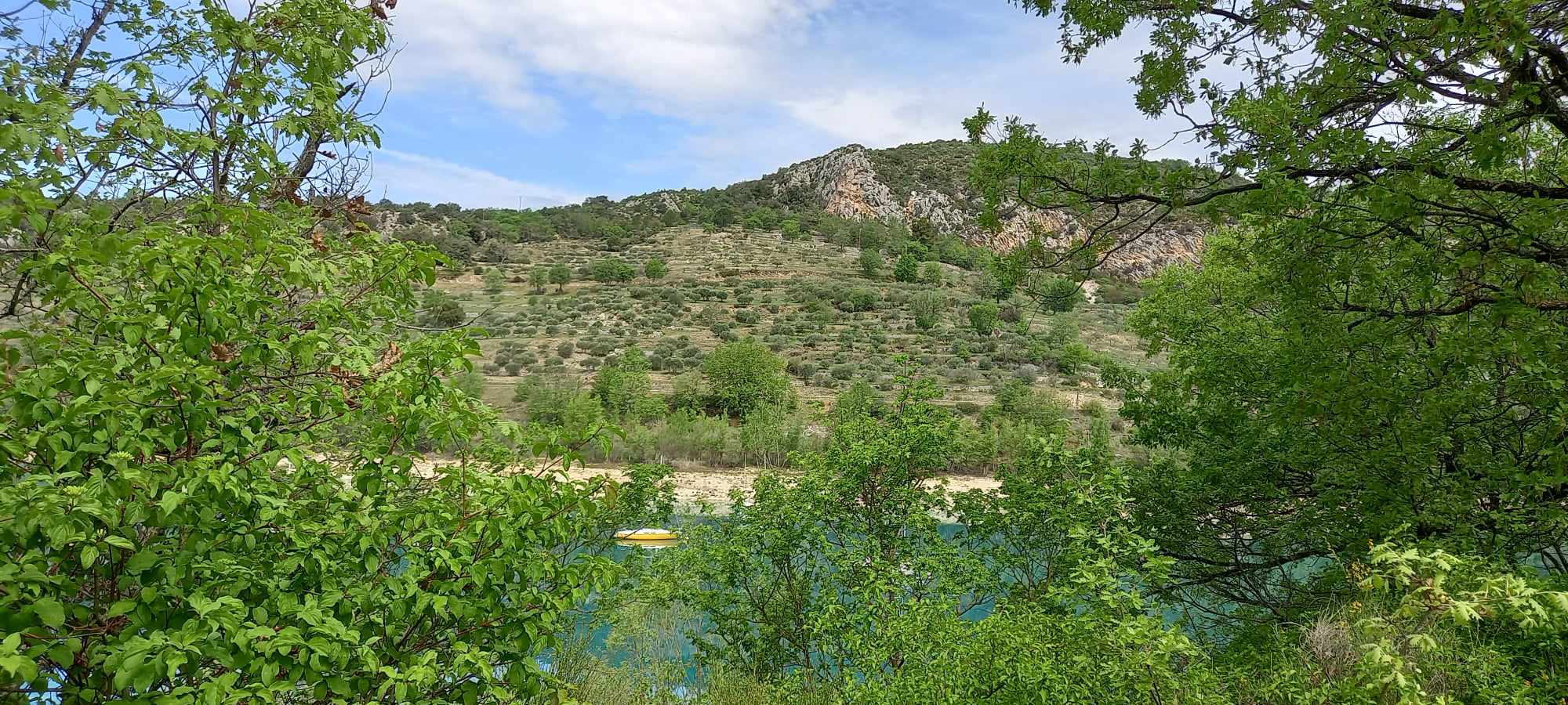 Photo Point de vue remarquable sur l'oliveraie de Bauduen