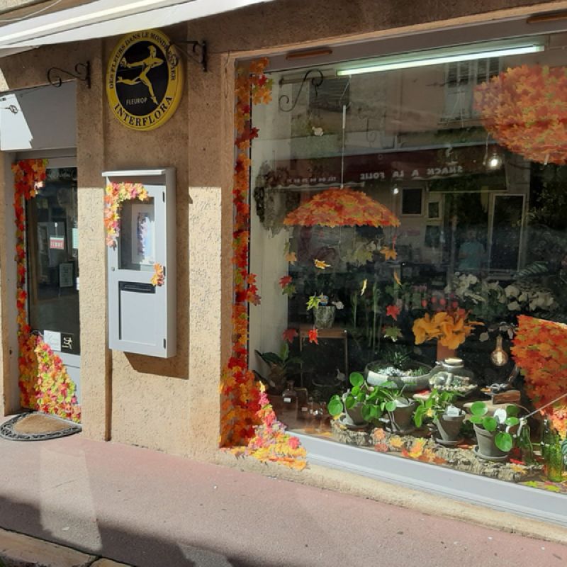 Miniature galerie