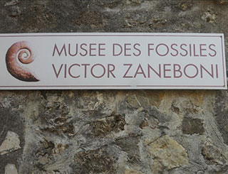Musée des fossiles à Tourtour