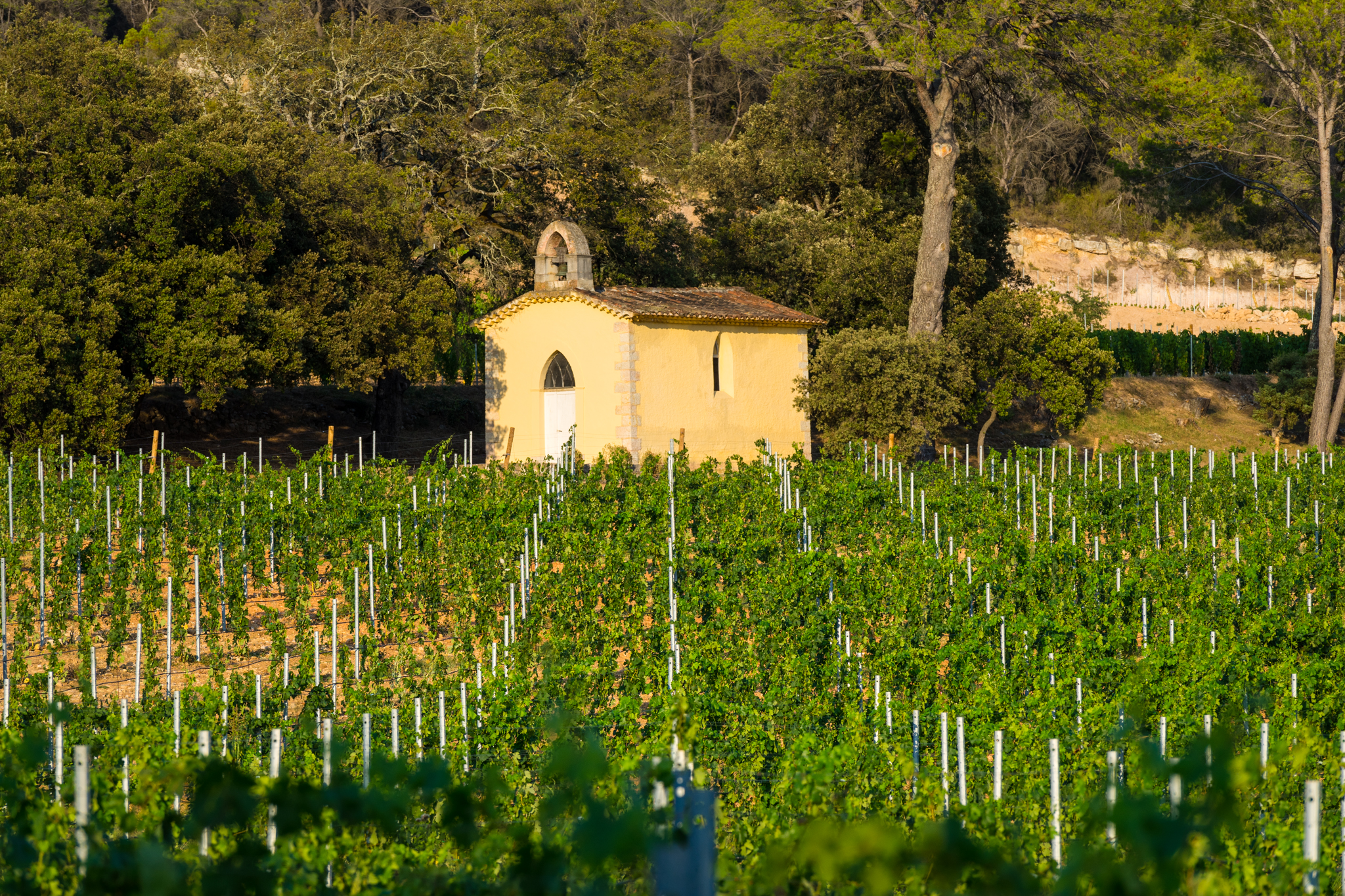 La chapelle - Domaine Saint-Jean de Villecroze