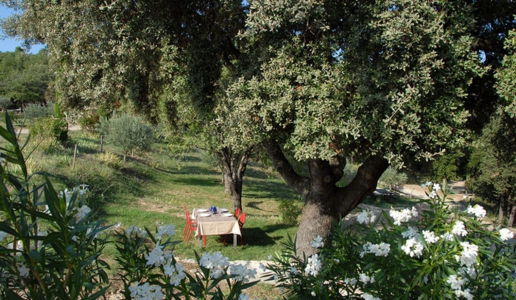 Extérieur - La Bastide des Gipières - Gîte Verdon