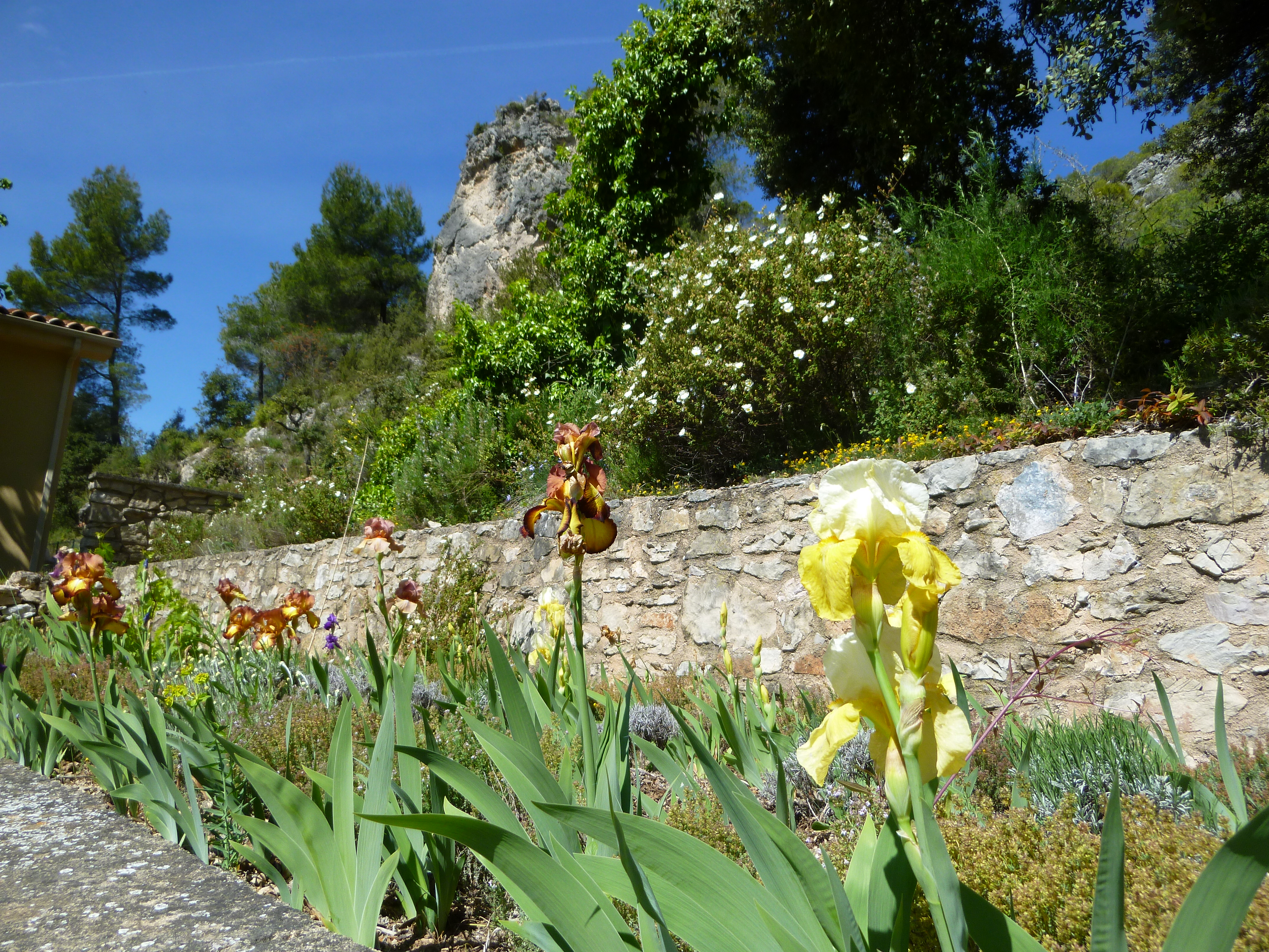 La Cascade - La Cascade