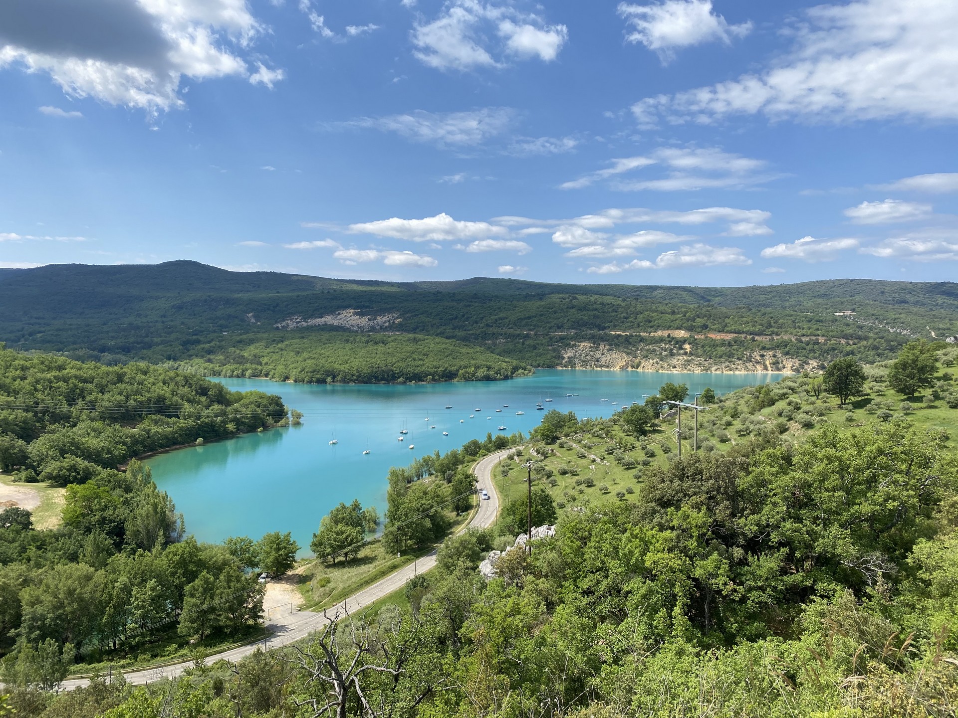 Visite commentée de l'Oliveraie de Bauduen_Bauduen