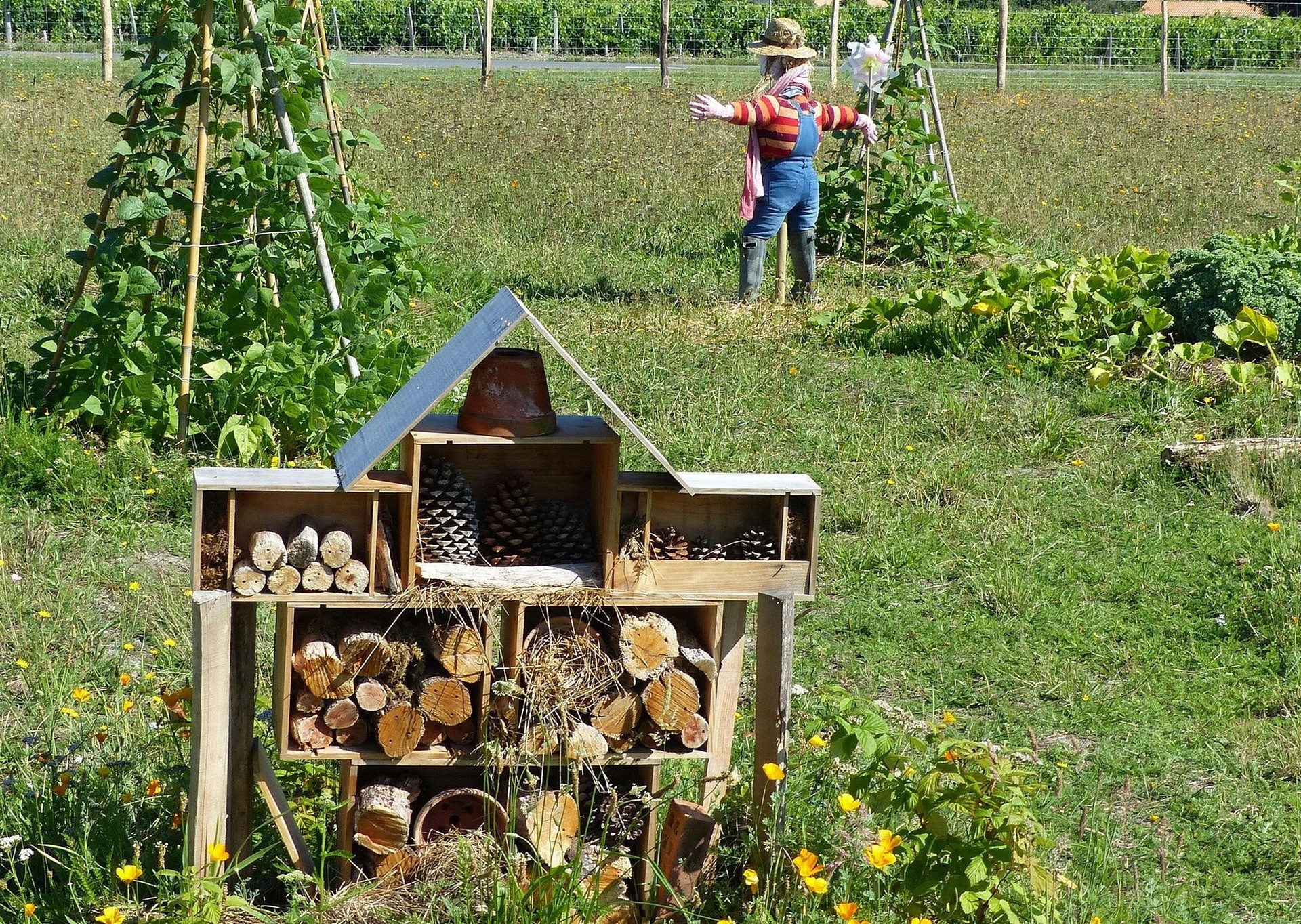 Fabrication d'hôtel à insectes et découverte_Bauduen