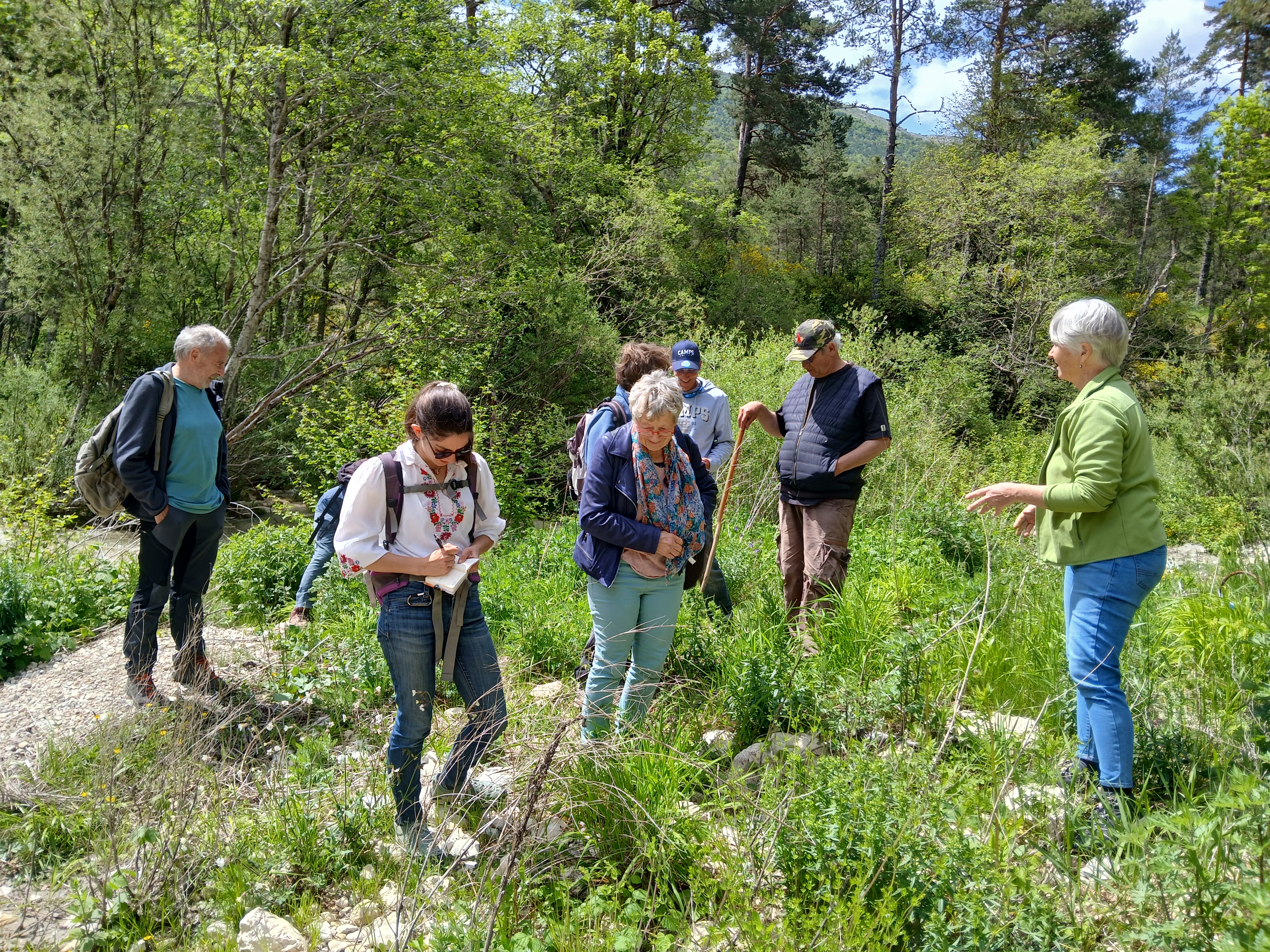 Fête de la Nature 2026 - Balade botanique :  L'histoire des plantes du Haut-Var_Brenon