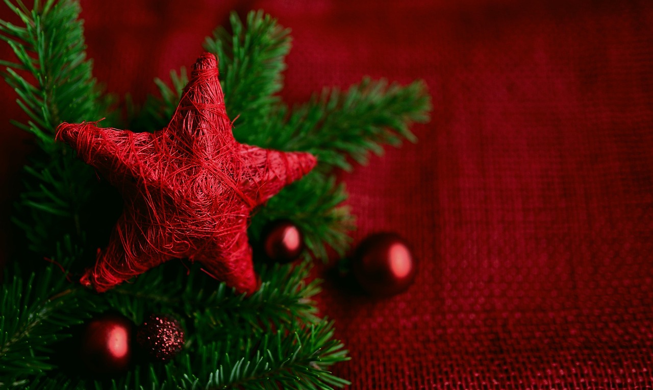 Décoration de Noël - Journée de Noël_Les Salles-sur-Verdon