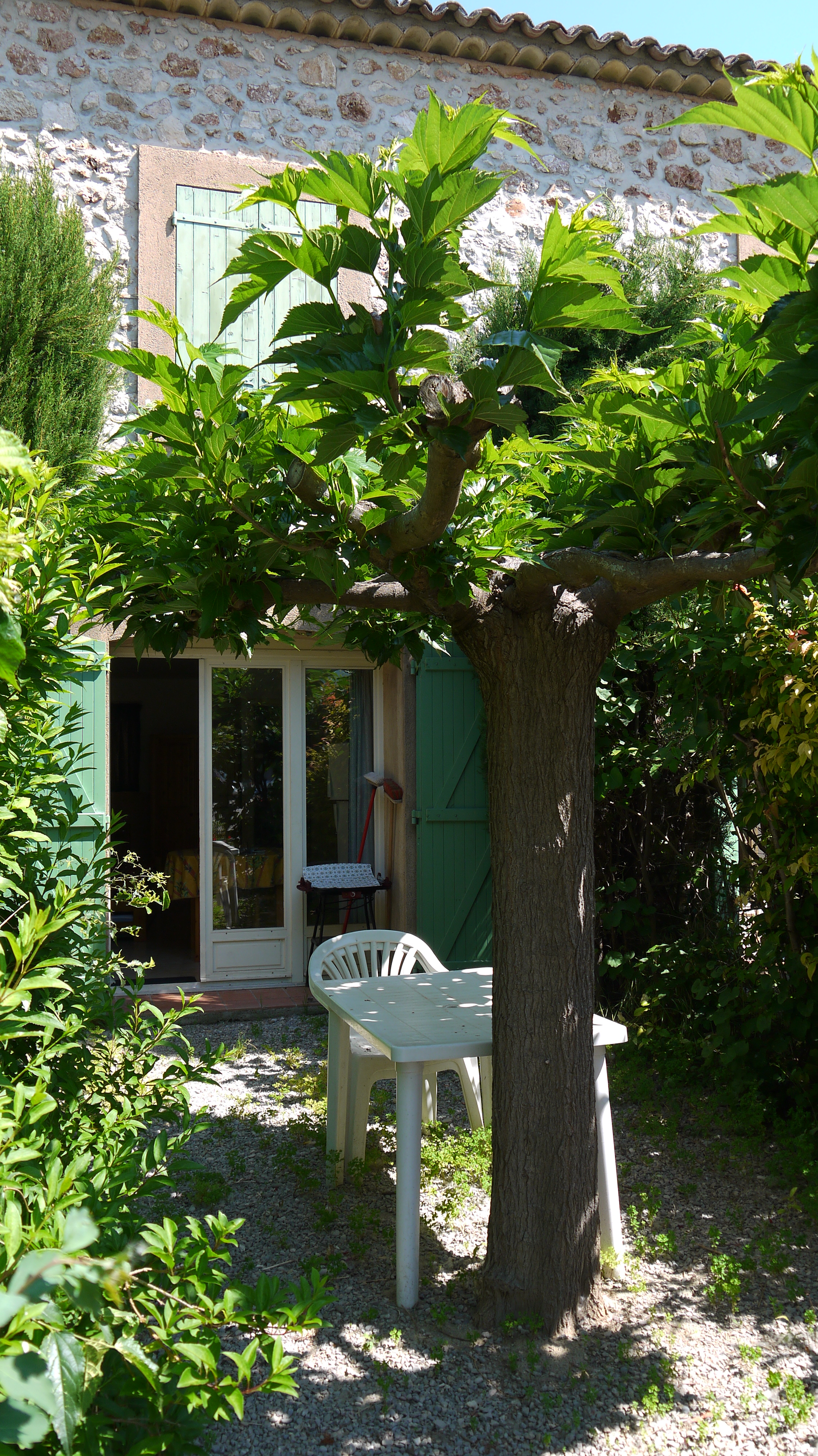 Le jardin - Le petit jardin du lac