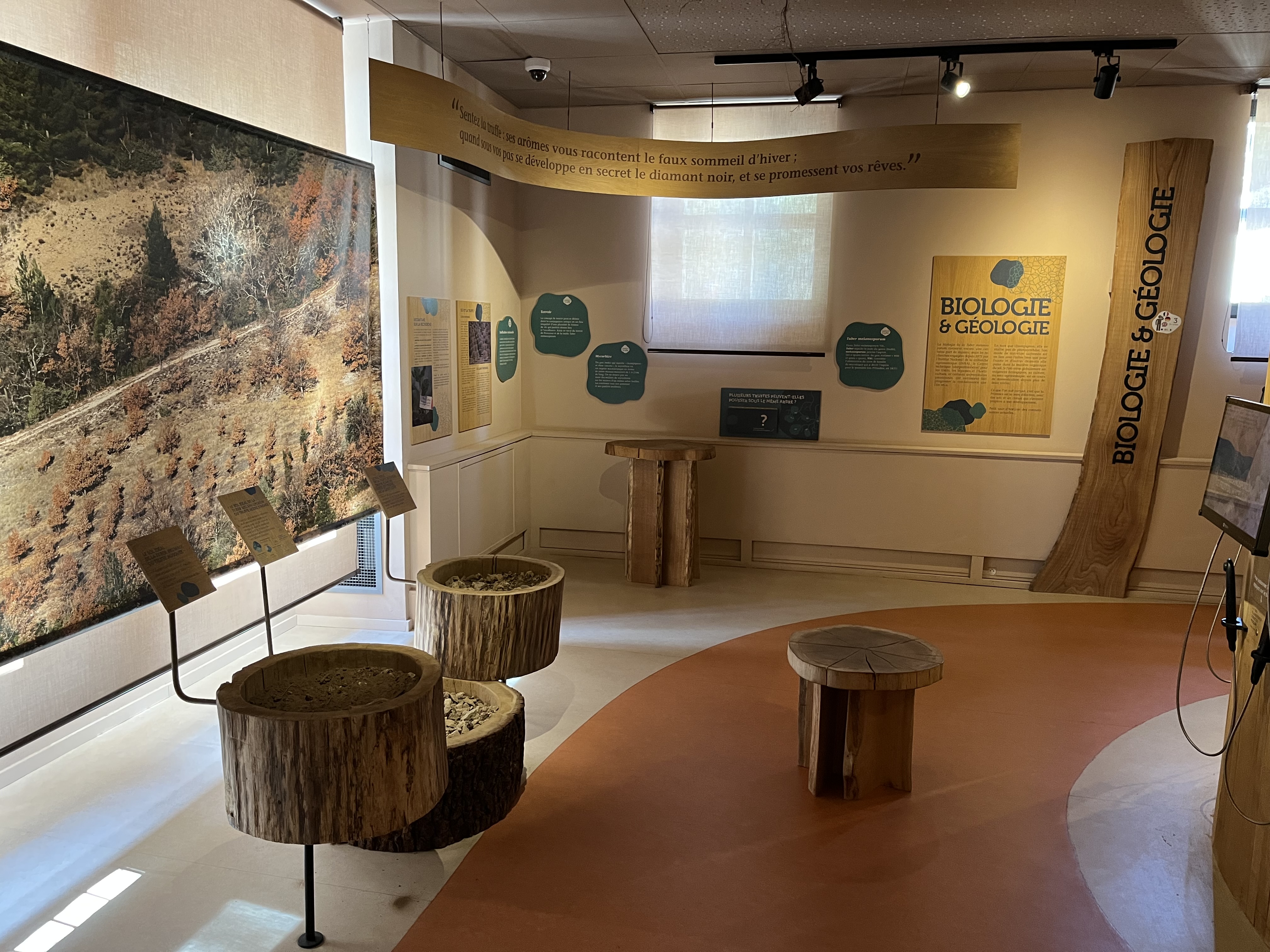 Espace muséographique - Maison de la truffe d'Aups et du Verdon_Aups