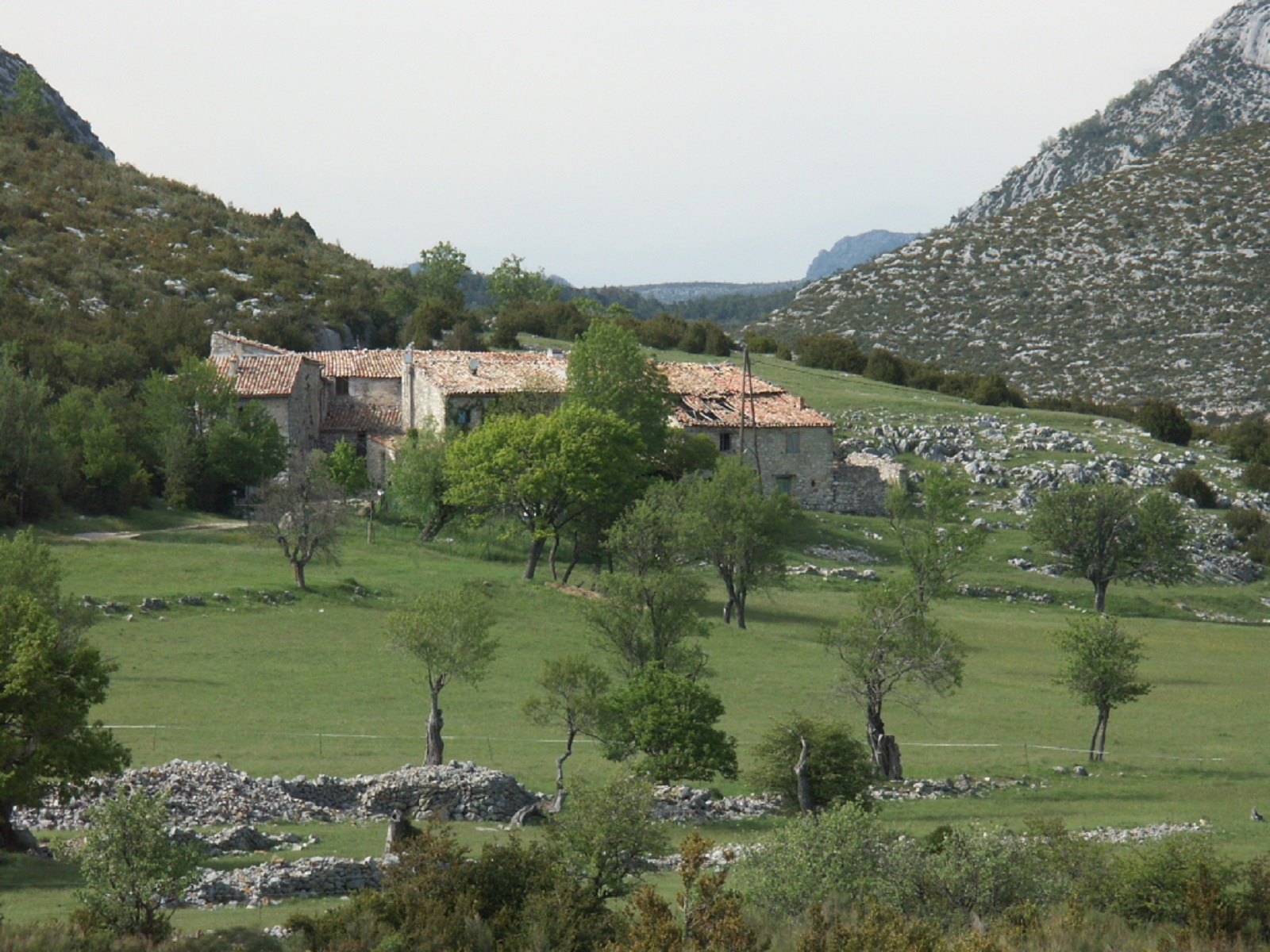 Vue générale - Commanderie de St Maymes