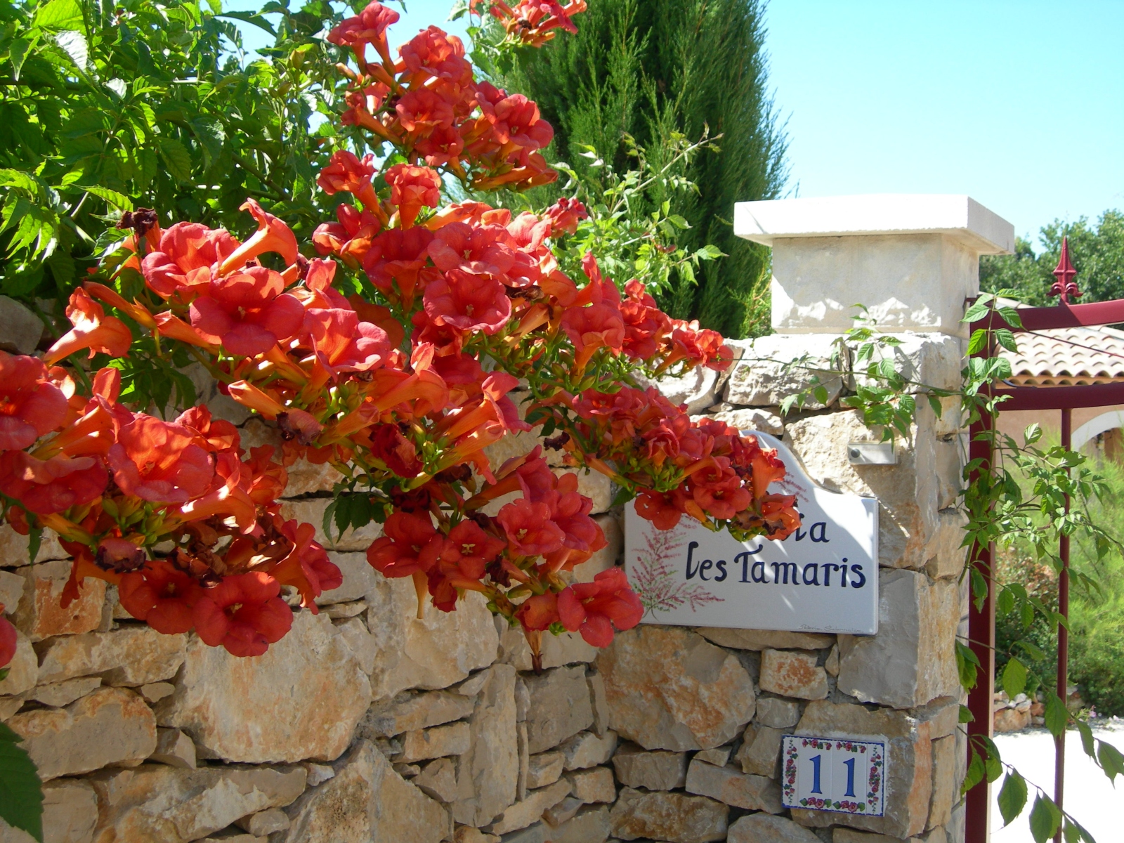 Entrée fleurie les Tamaris - Les Tamaris Chambres d'hôtes