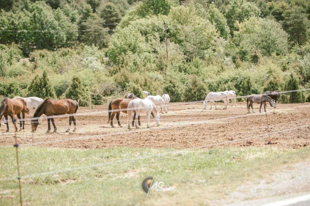 Photo Verdon Equitation