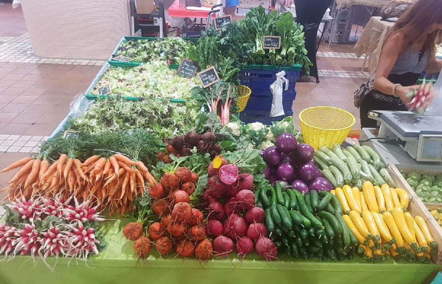 Légumes de montagne - M. Brun Jean-Raoul - Maraîcher