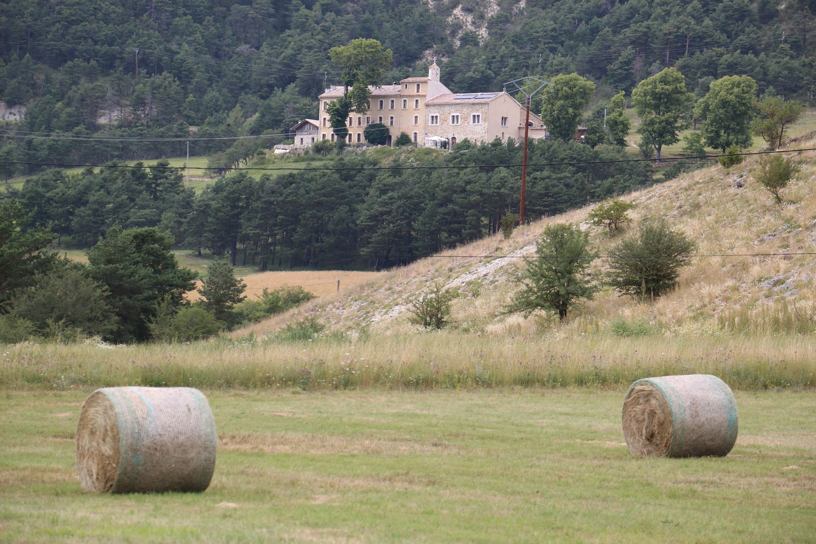 Vue générale - Château Rima