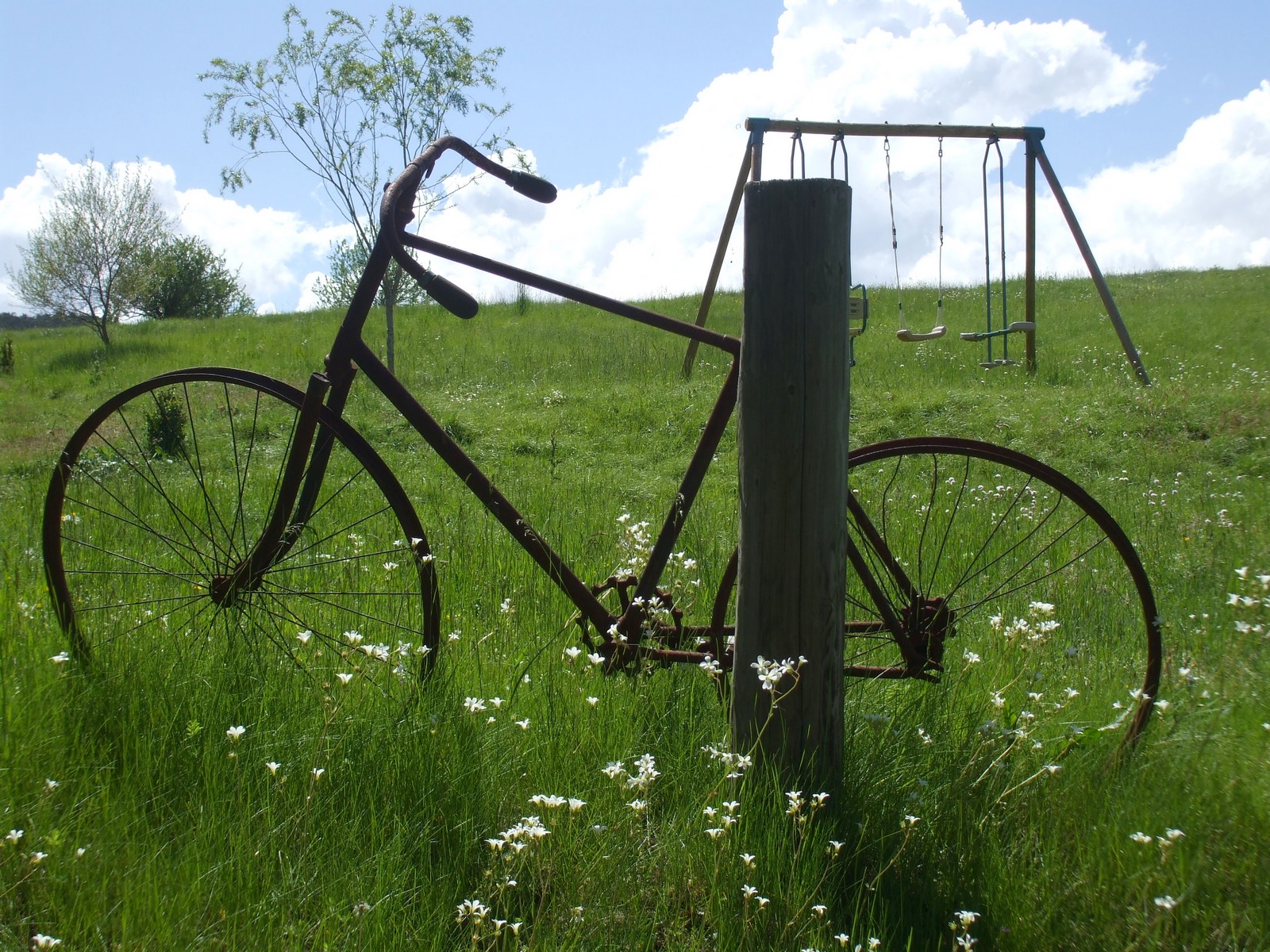 Jardin printanier - La Clape