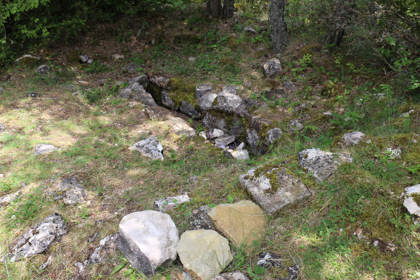 Tombe anthropomorphe - Chapelle Saint Pierre en Demueyes