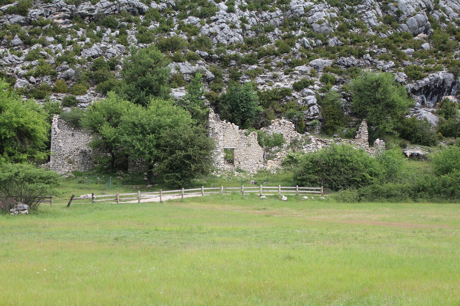 Vue générale 1 - Scierie du Mont Brouis