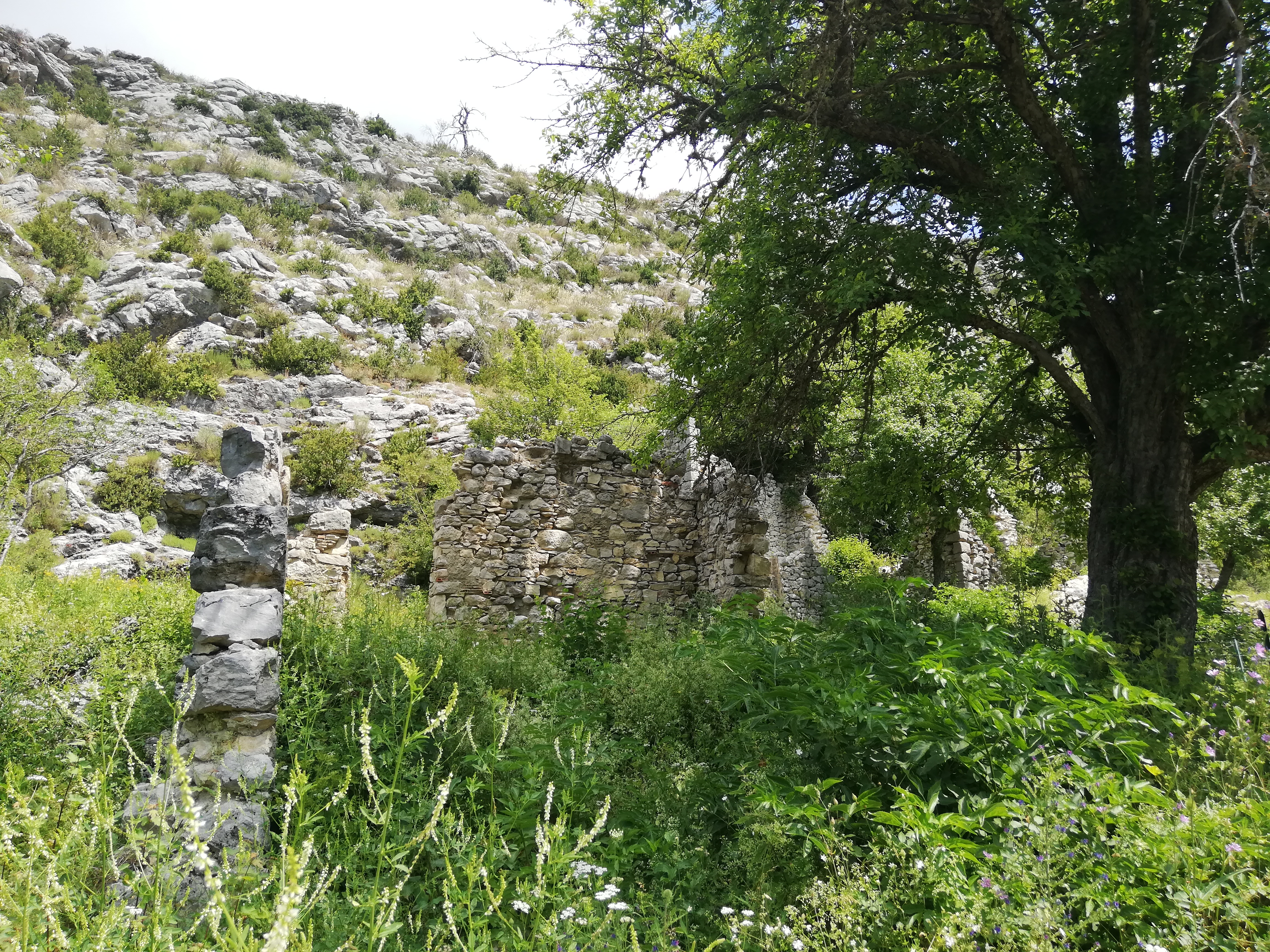 Ruines 2 - Scierie du Mont Brouis