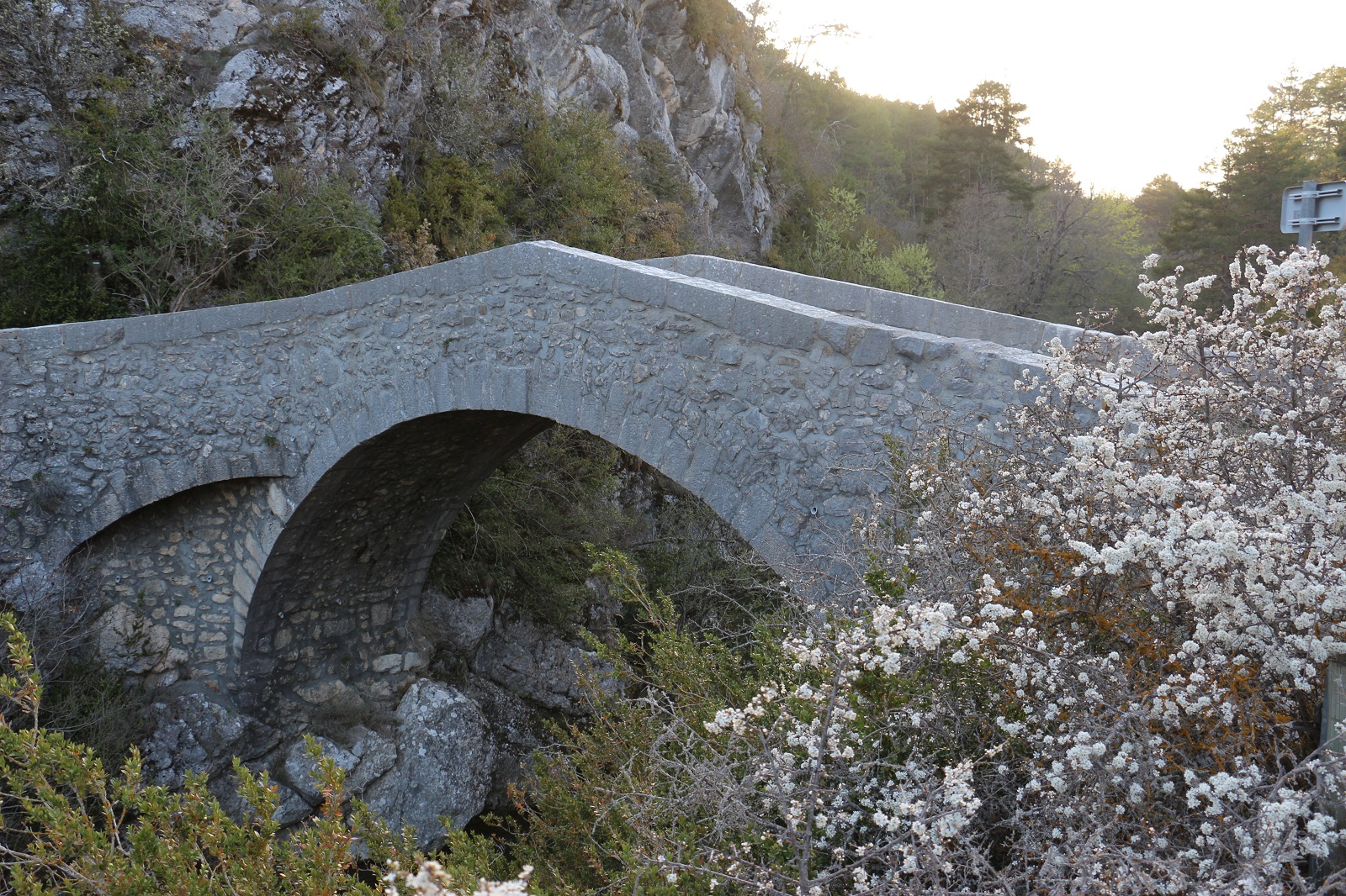 Vue générale 1 - Le Pont de la Serre dit 