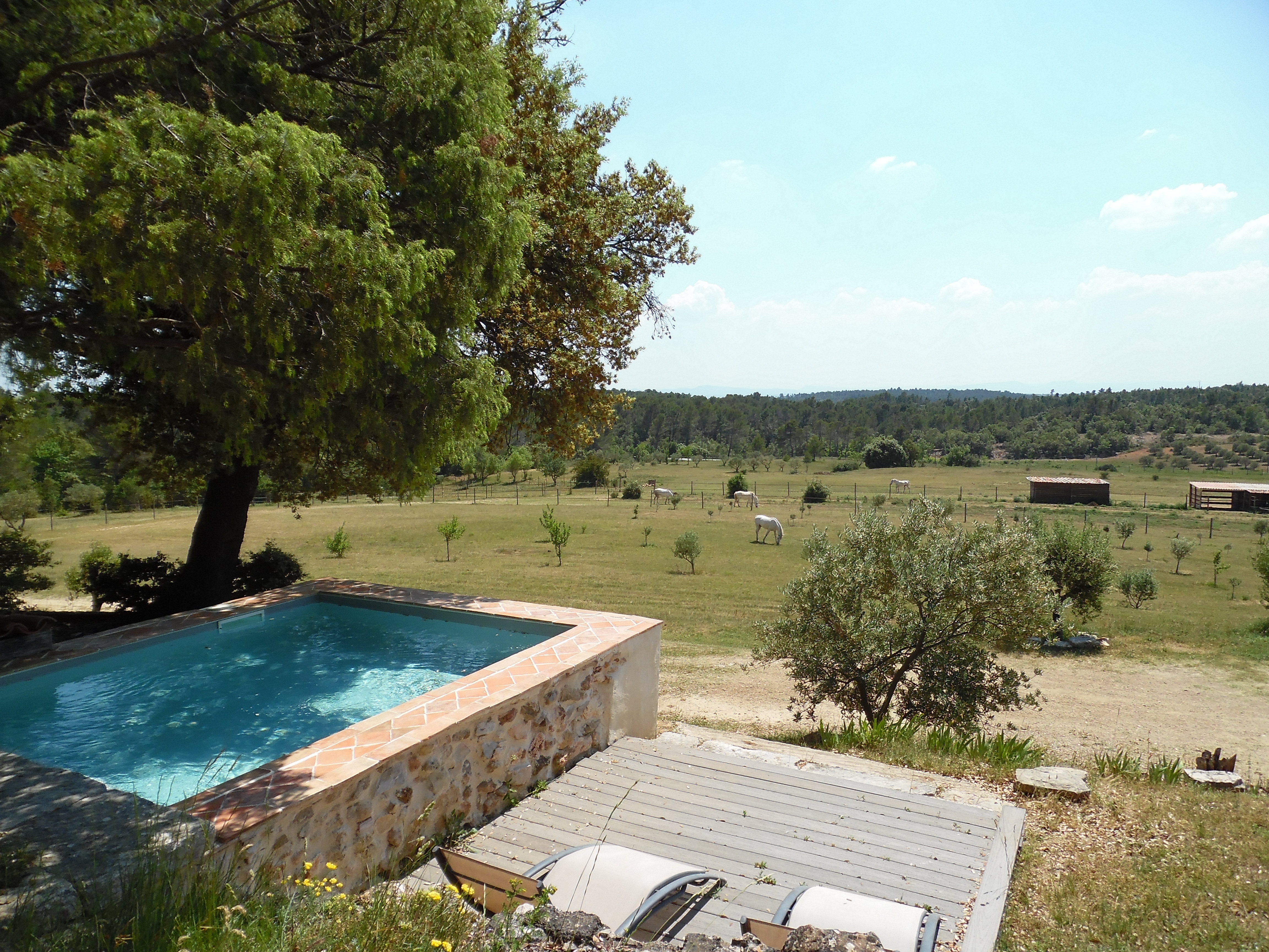 Piscine - Gîte l'Oliverie de Plerimond