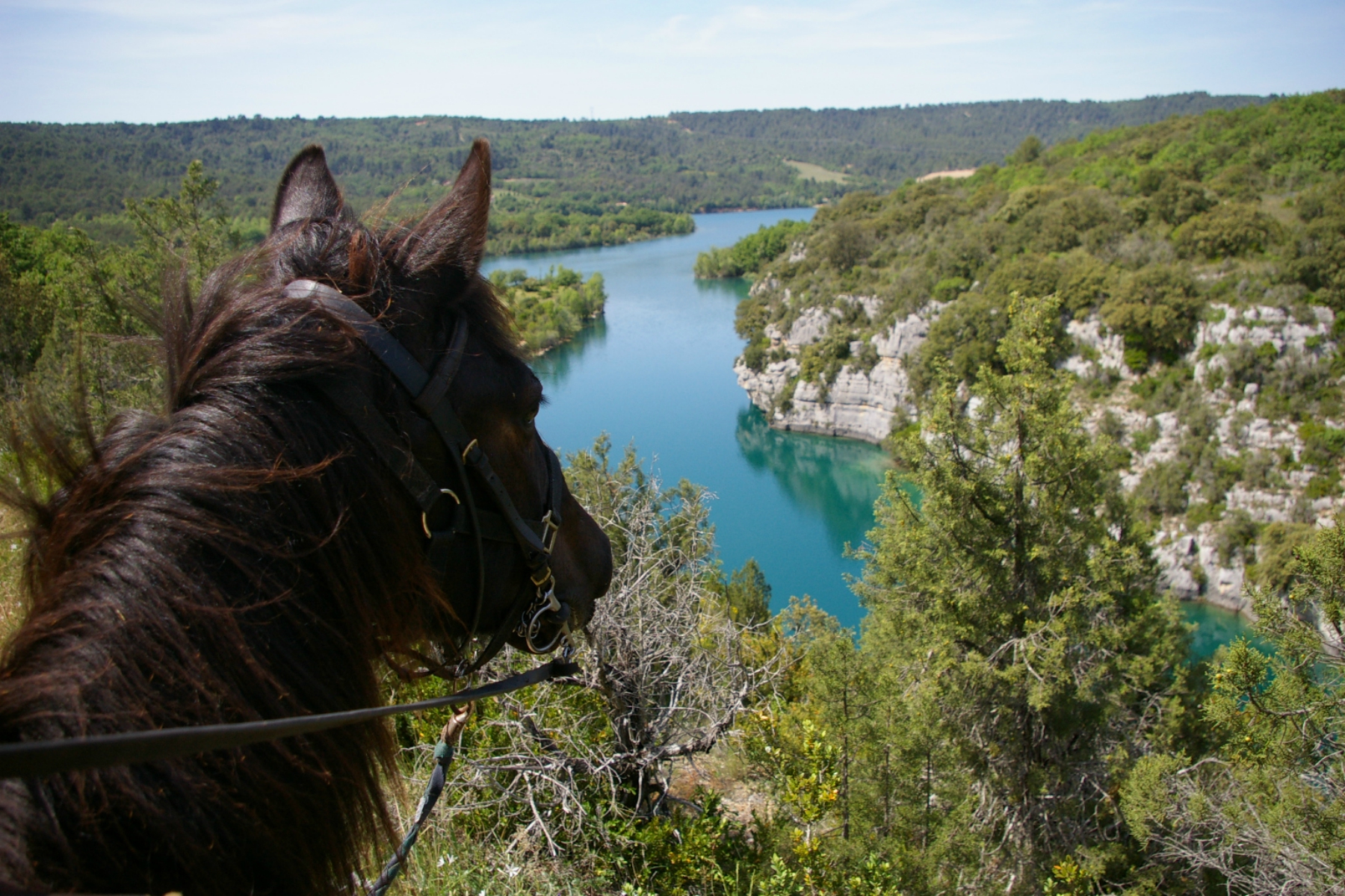 A cheval avec Les Chevaux du Verdon