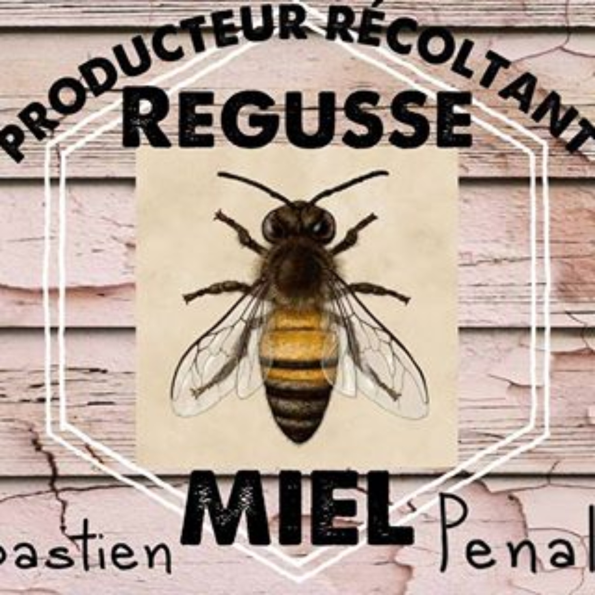 Producteur récoltant miel - Producteur récoltant miel