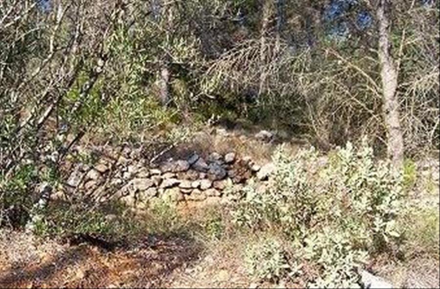 Photo Randonnée pédestre: le Serre par le Lauron
