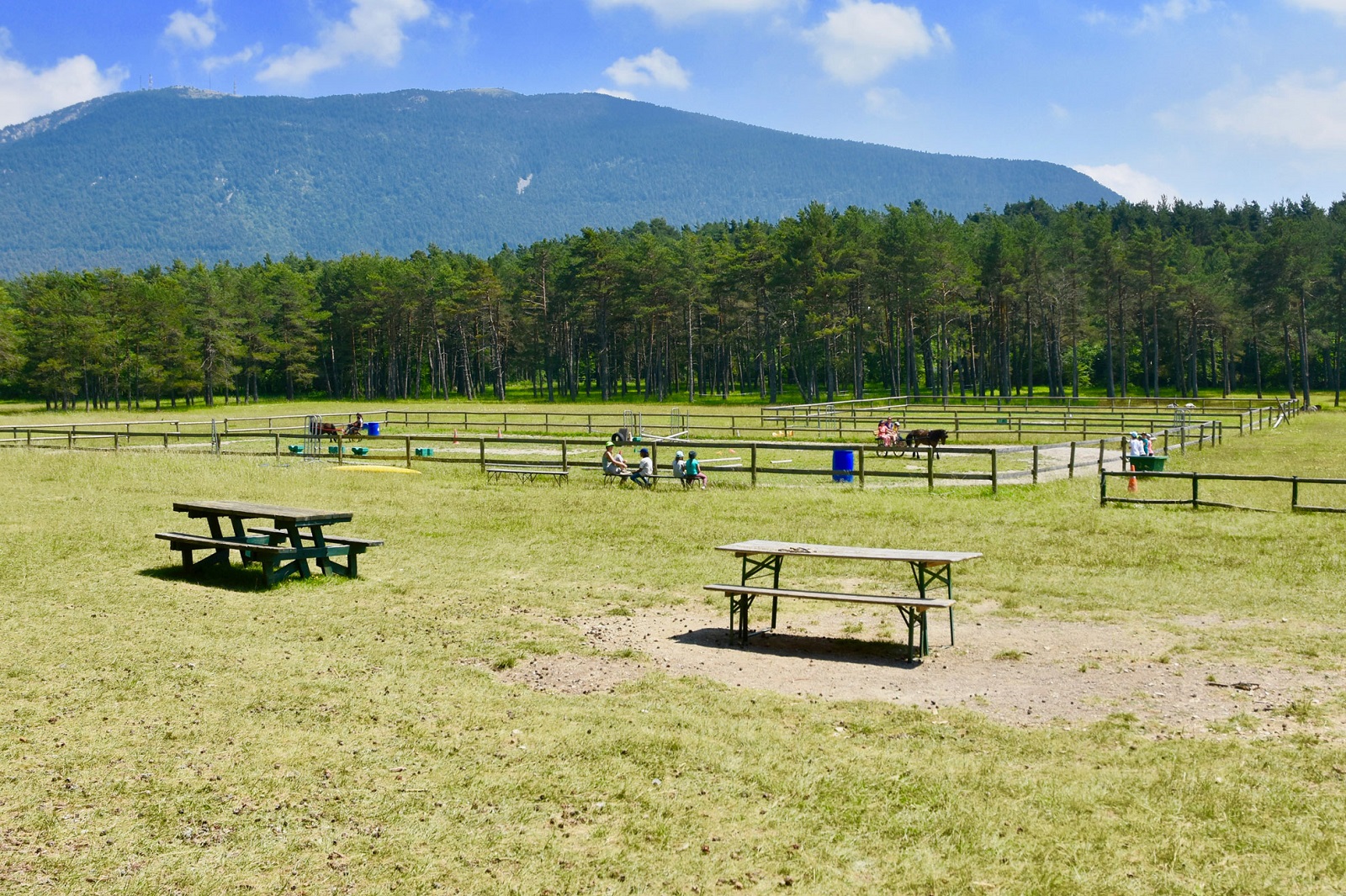Ferme et parc a chevaux - La Clairière du Logis du Pin
