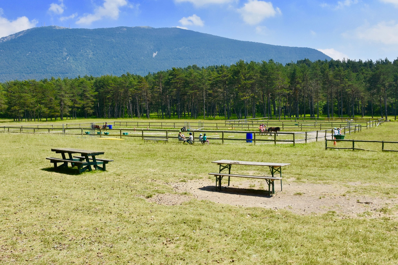 Ferme et parc a chevaux - La Clairière du Logis du Pin