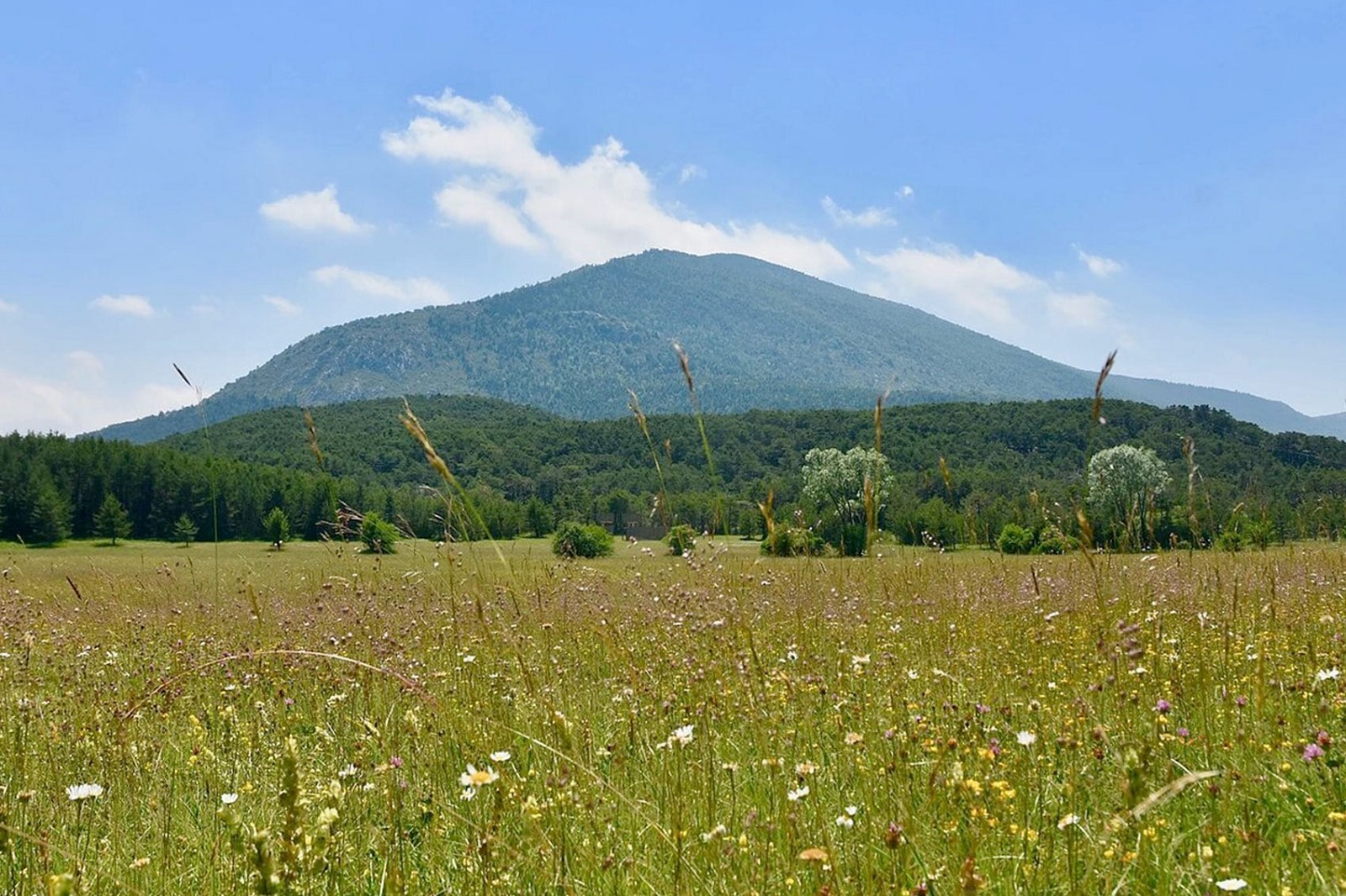 Vue sur le Mont Lachens - La Clairière du Logis du Pin