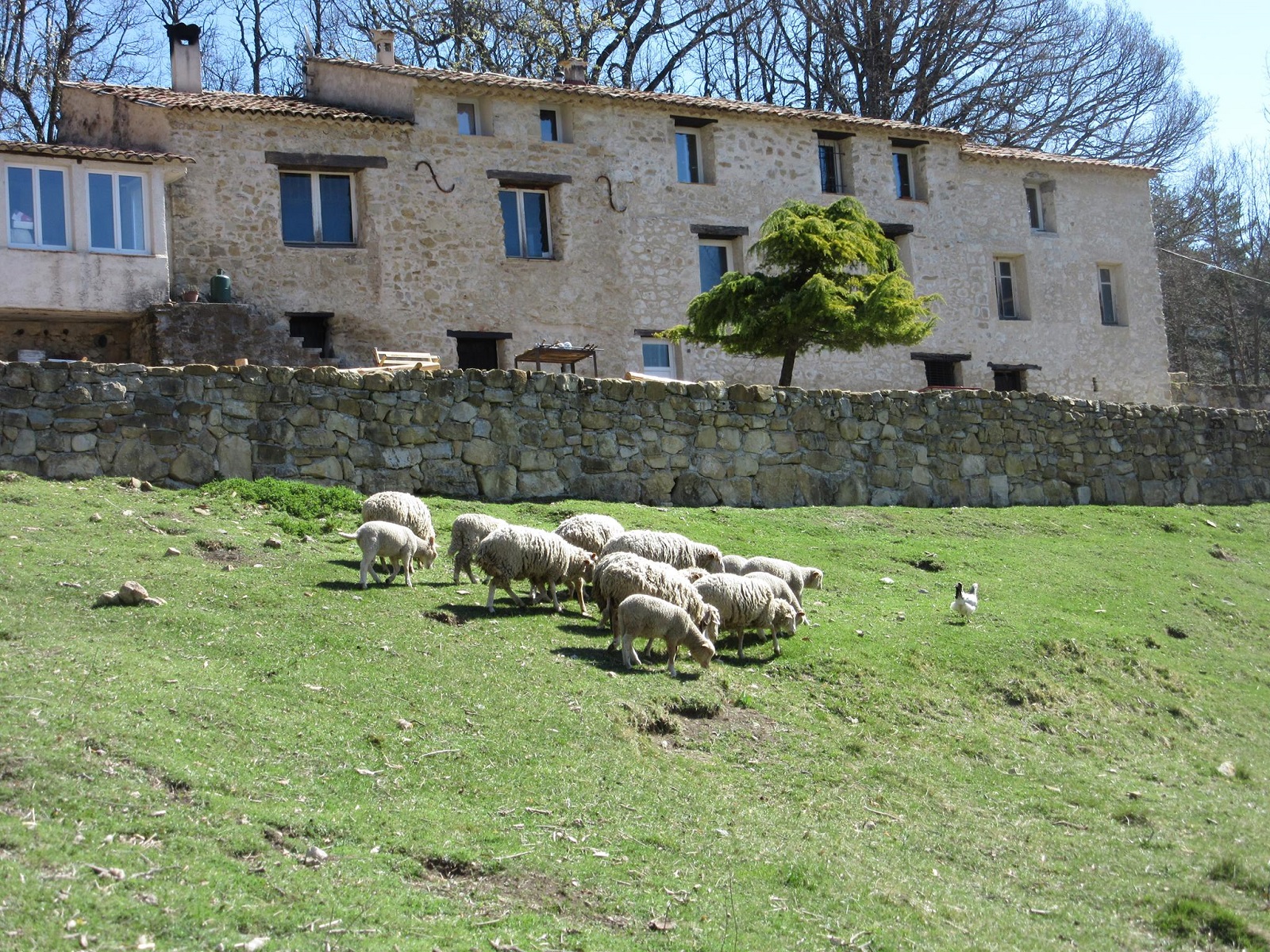 La demeure du domaine - Domaine de Bagarry