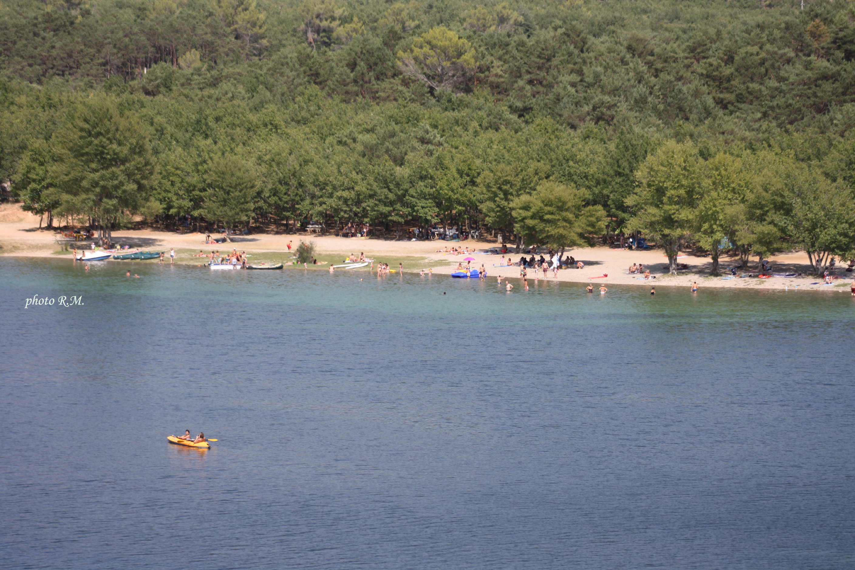 Lac et sa plage ombragée - Lac d'Artignosc-sur-Verdon