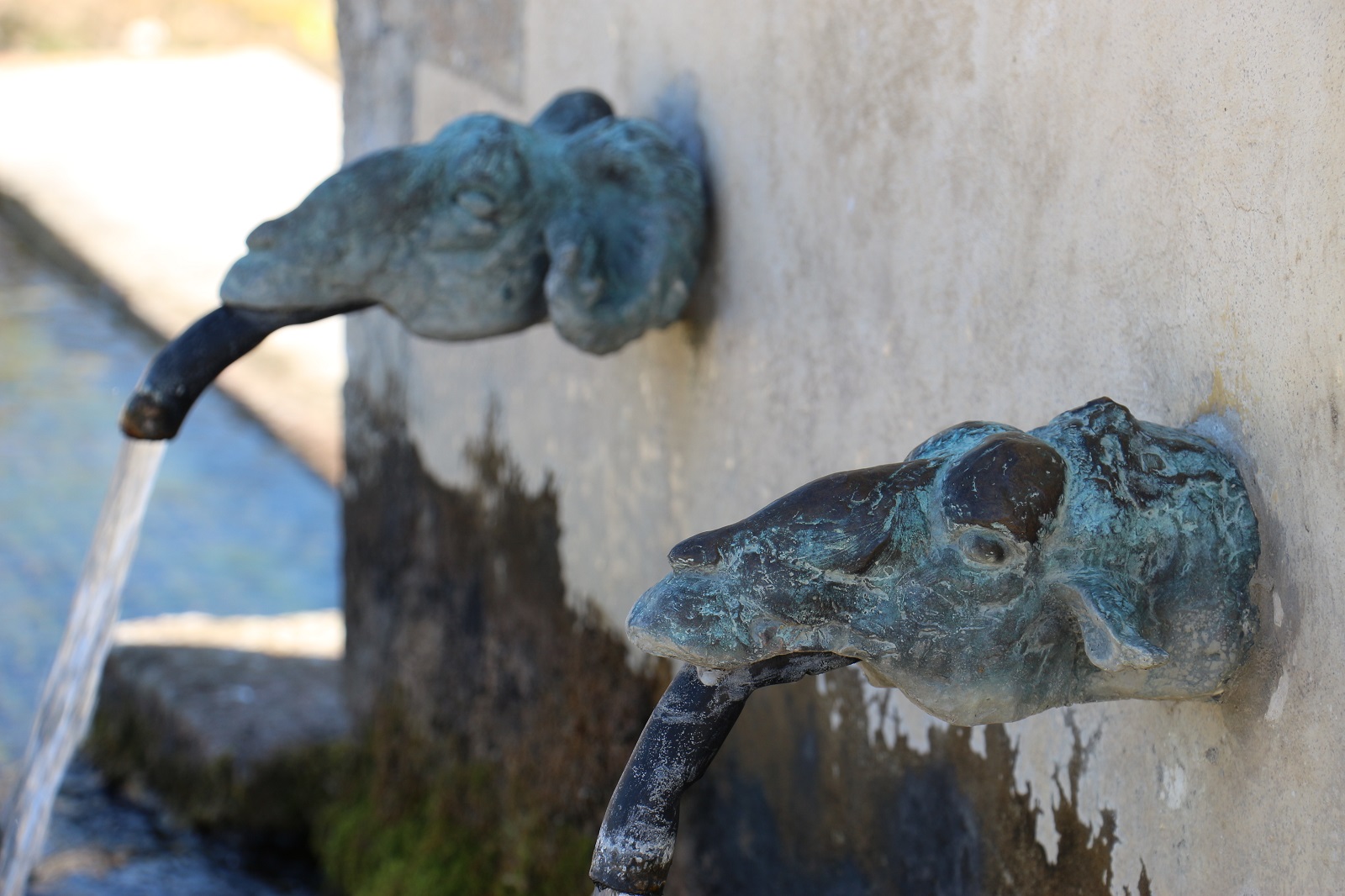 Canon de distribution - Fontaine des Henris