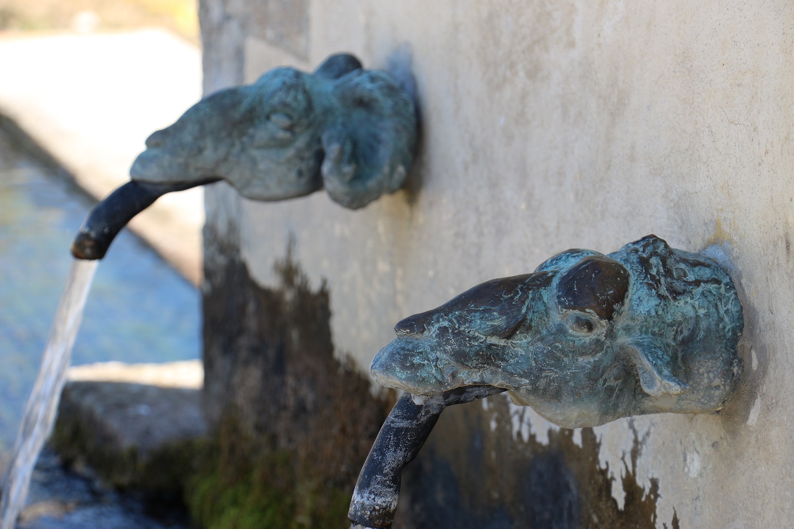 Canon de distribution - Fontaine des Henris