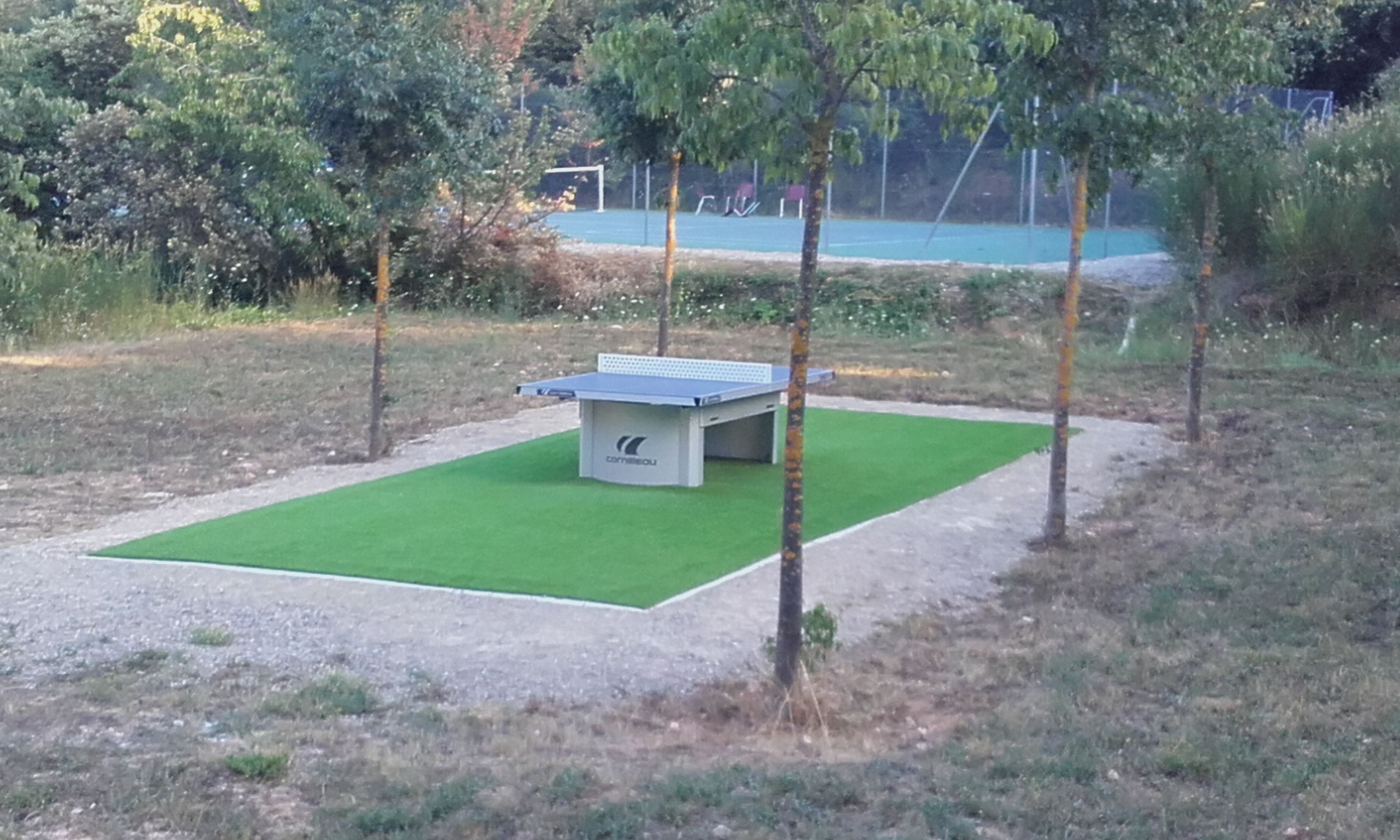 Table de pingpong MOISSACBELLEVUE