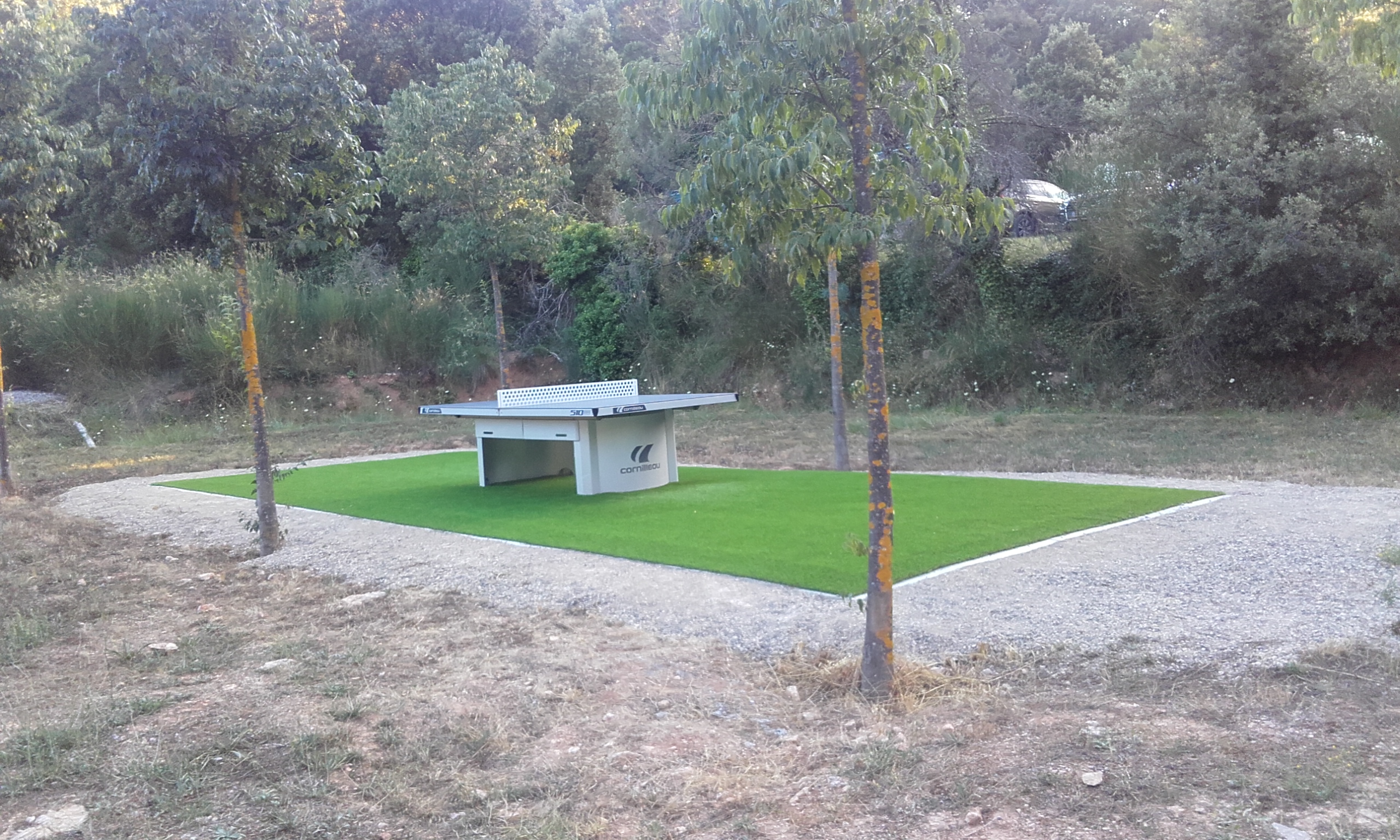 Table de pingpong MOISSACBELLEVUE