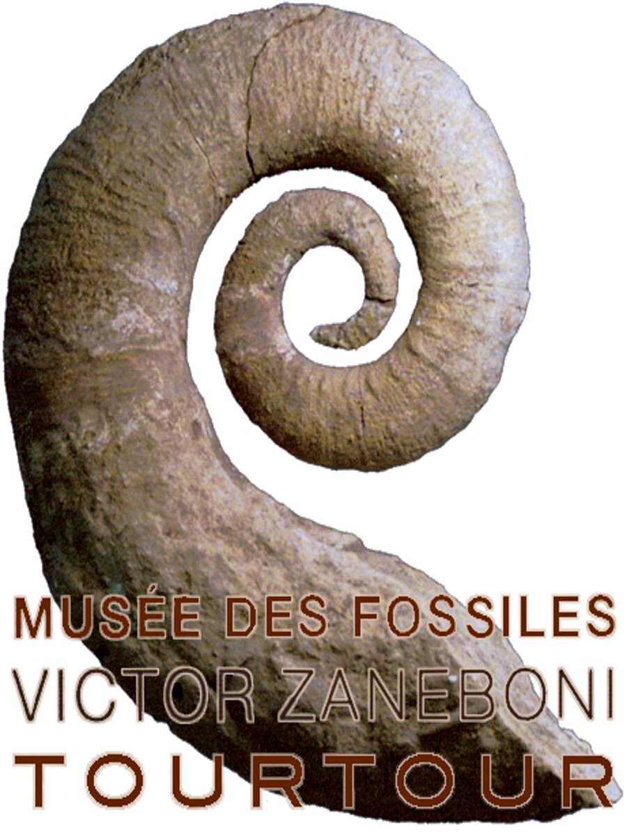 Logo - Logo Musée des Fossiles de Tourtour