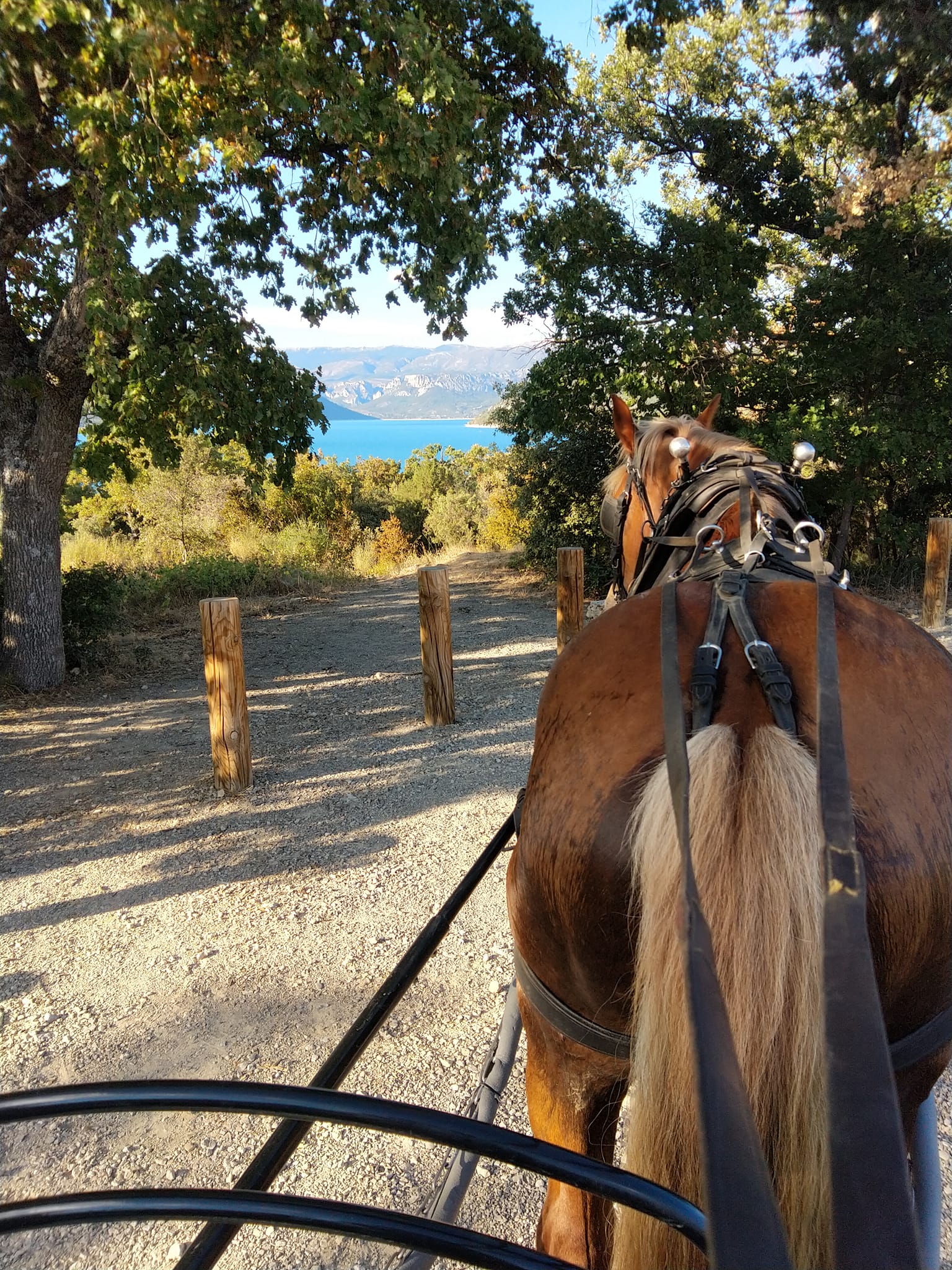 Balade en calèche - Ranch de la Blache