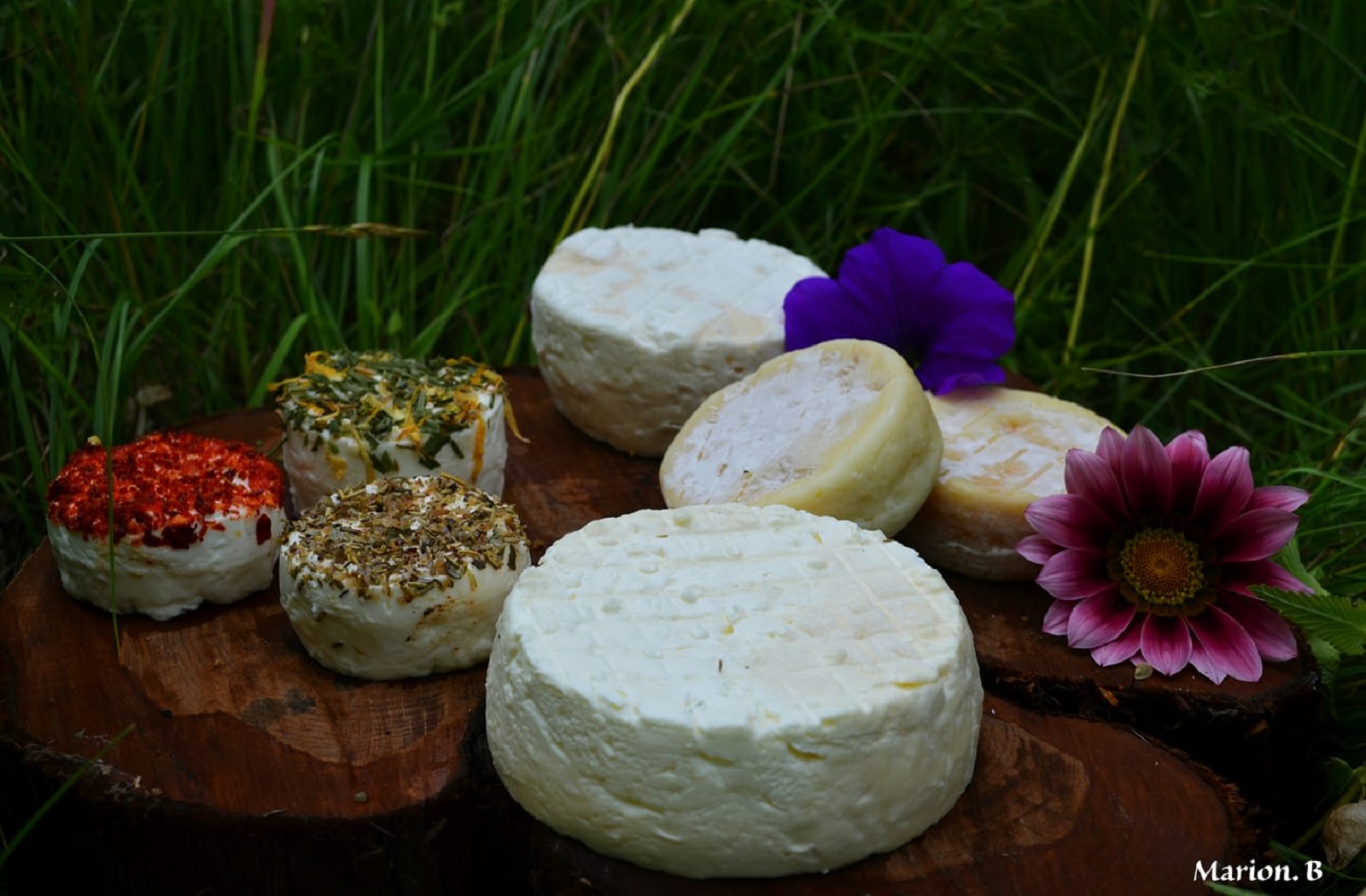 Assortiment de fromages fermiers - Ferme dei Reïcampadis