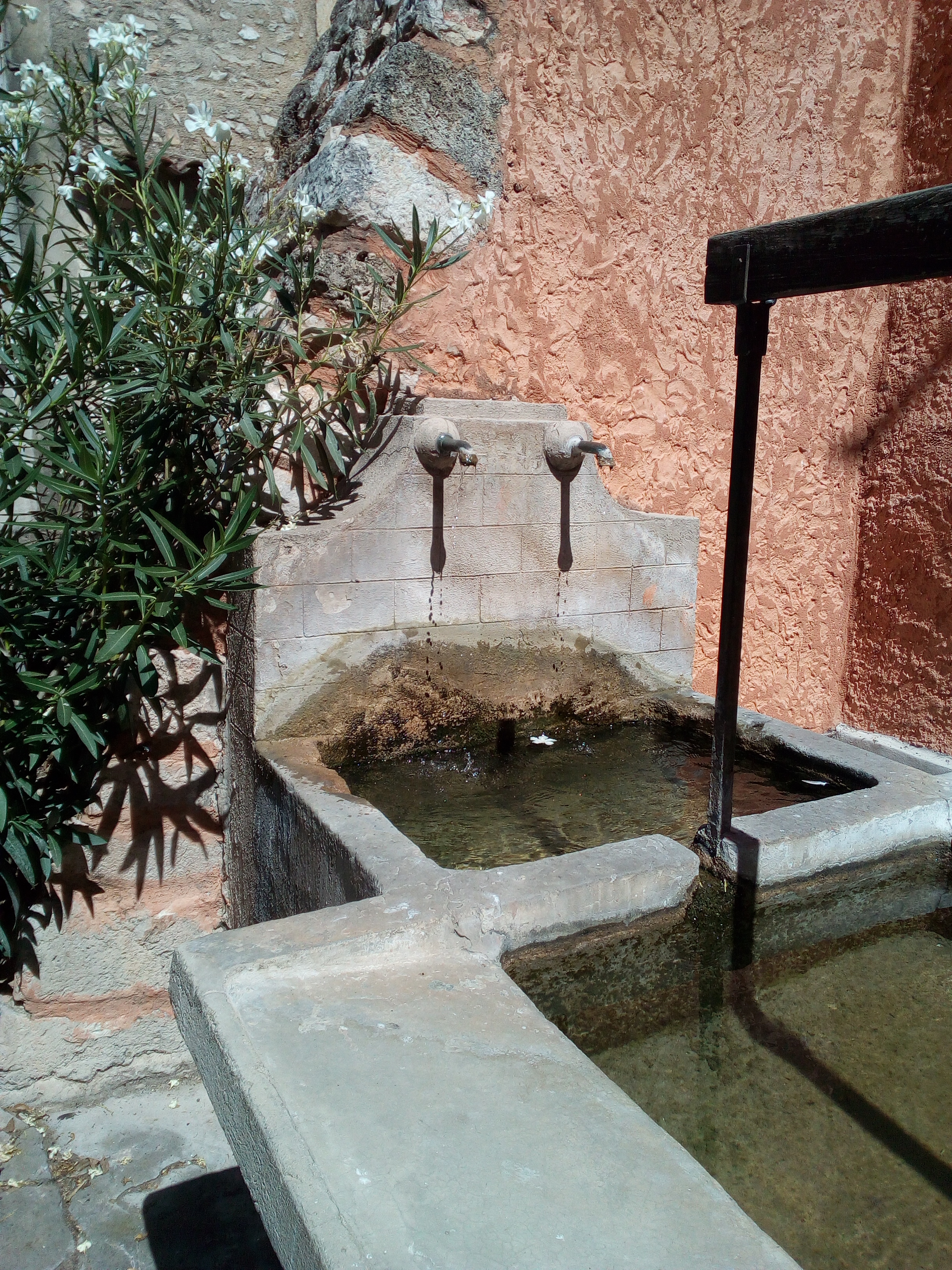 Photo Fontaine-lavoir place Martin Biagini