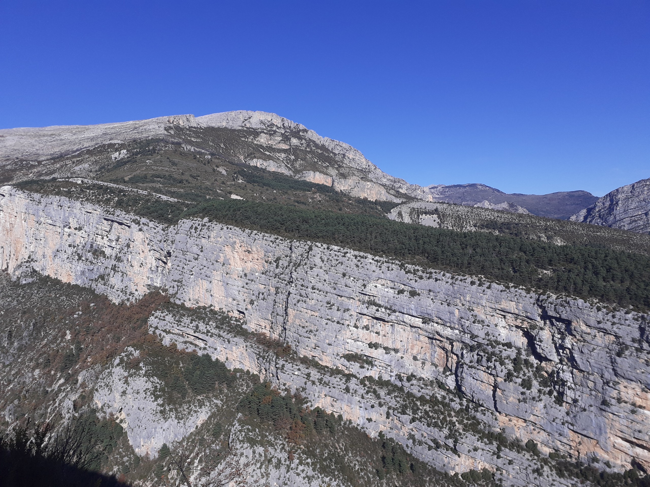 Vue panoramique - Les vautours de la Rive gauche