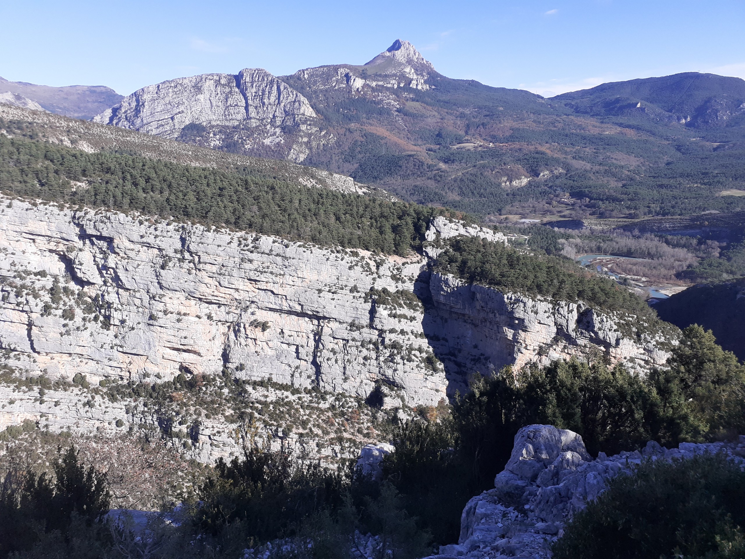 Vue panoramique - Les vautours de la Rive gauche