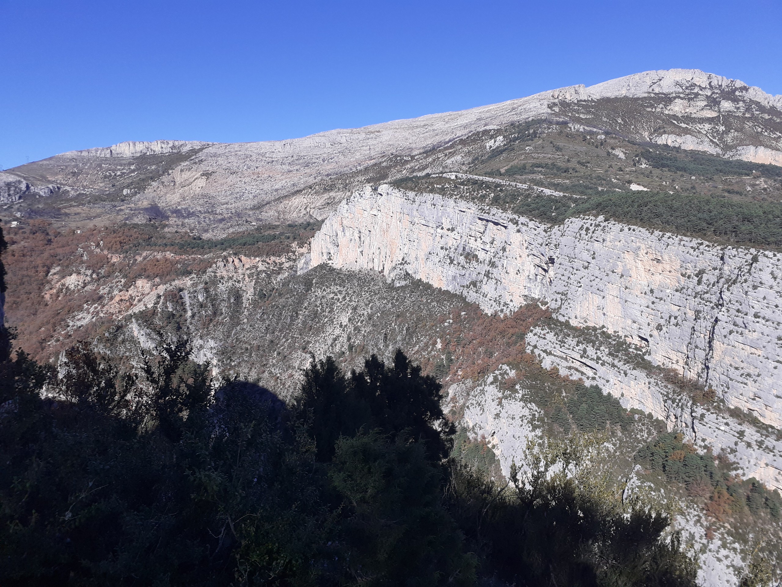 Vue panoramique - Les vautours de la Rive gauche