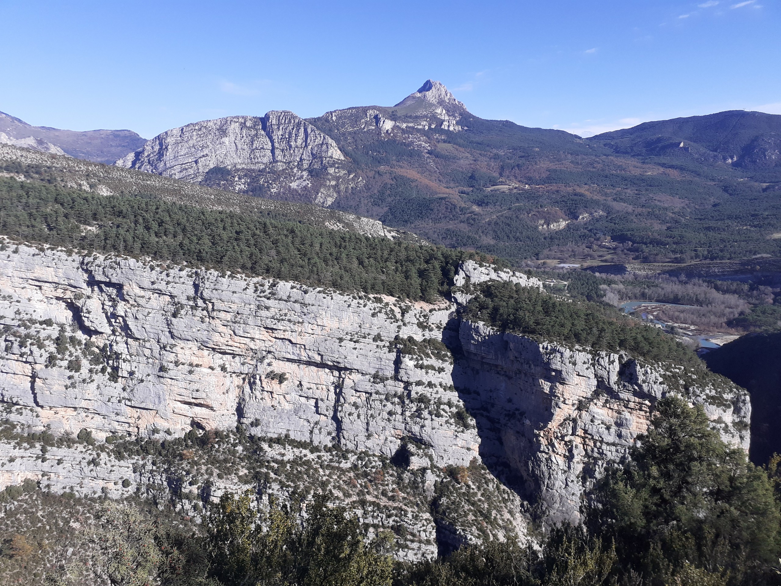 Vue panoramique - Les vautours de la Rive gauche