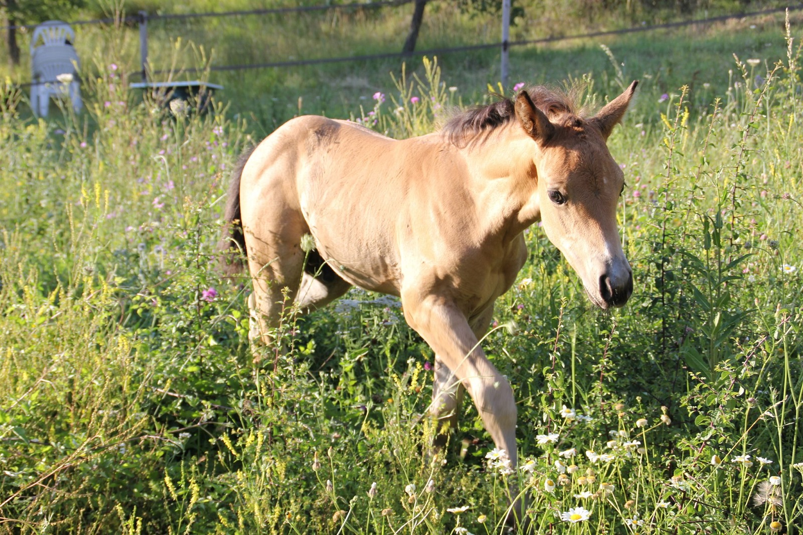 Photo Domaine du Cruvelet