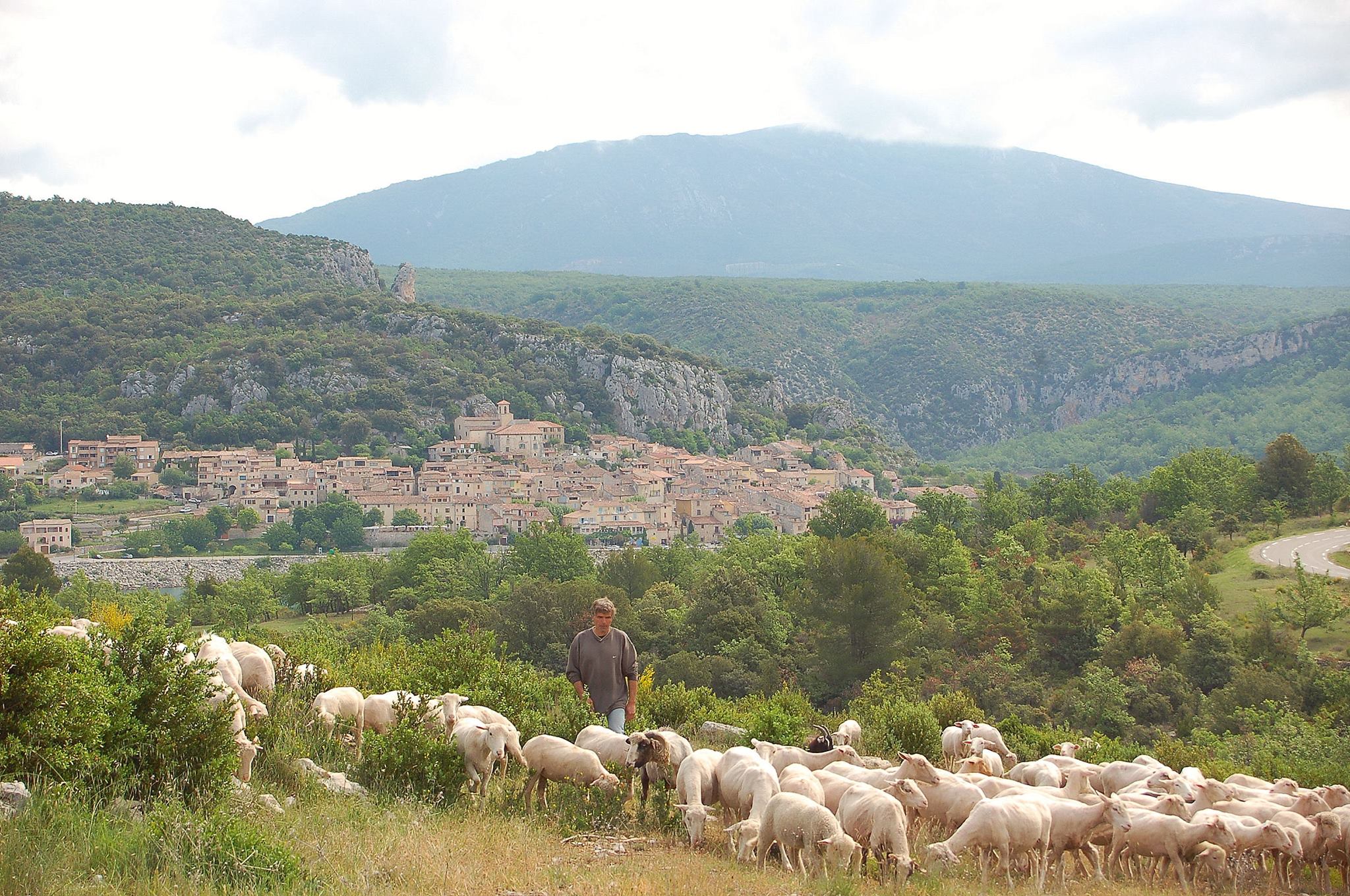 Devant le village - GAEC 