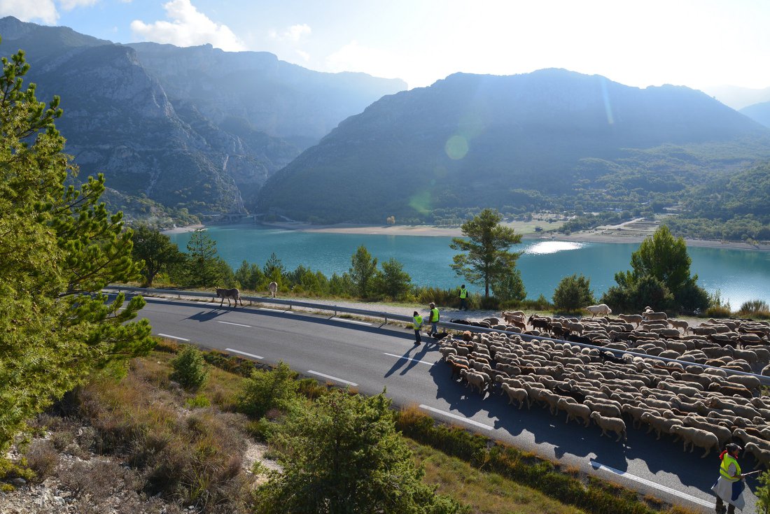 Transumance 2018 - GAEC 